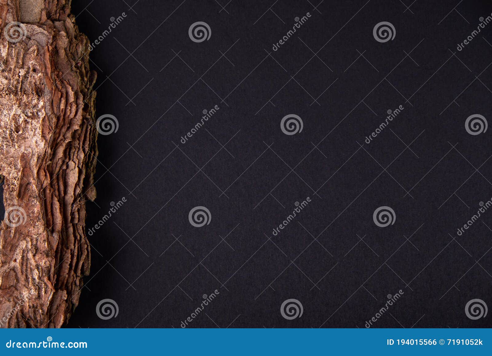forest backdrop. tree bark on black background. concept for natural eco organic bio cosmetic beauty product flat lay