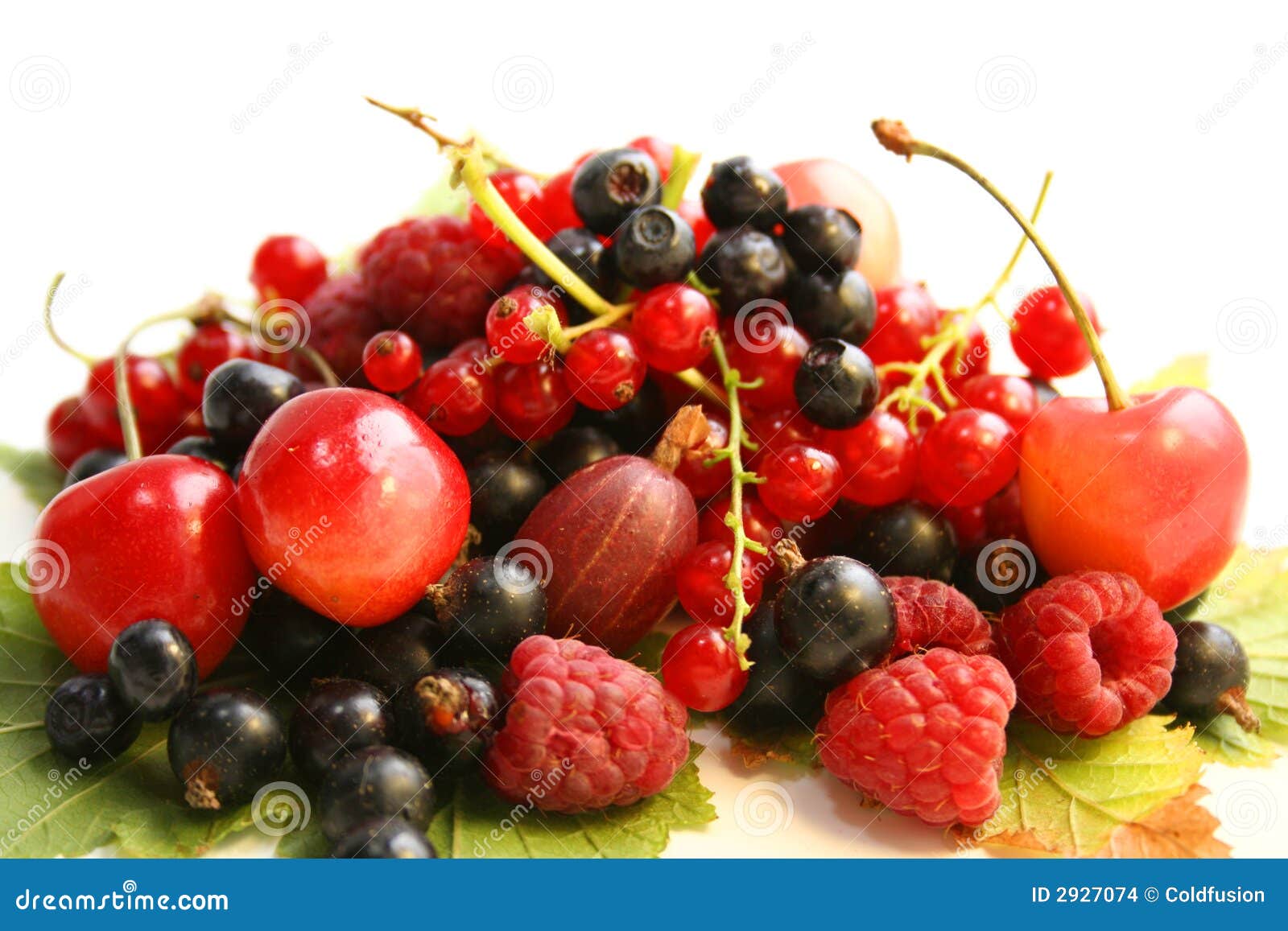 Forest Berries on the Leaves Stock Photo Image of cherry