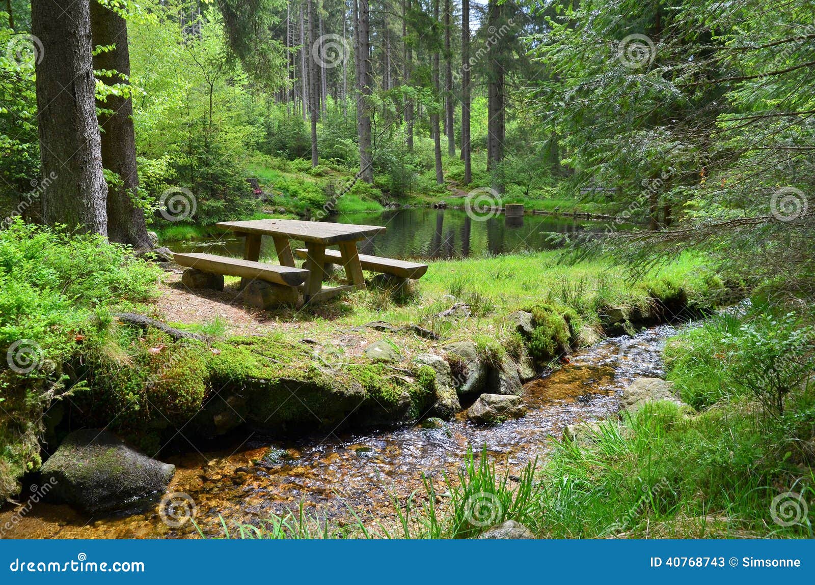 Forest Brook Flowers stock image. Image of ecology, plant 40768743