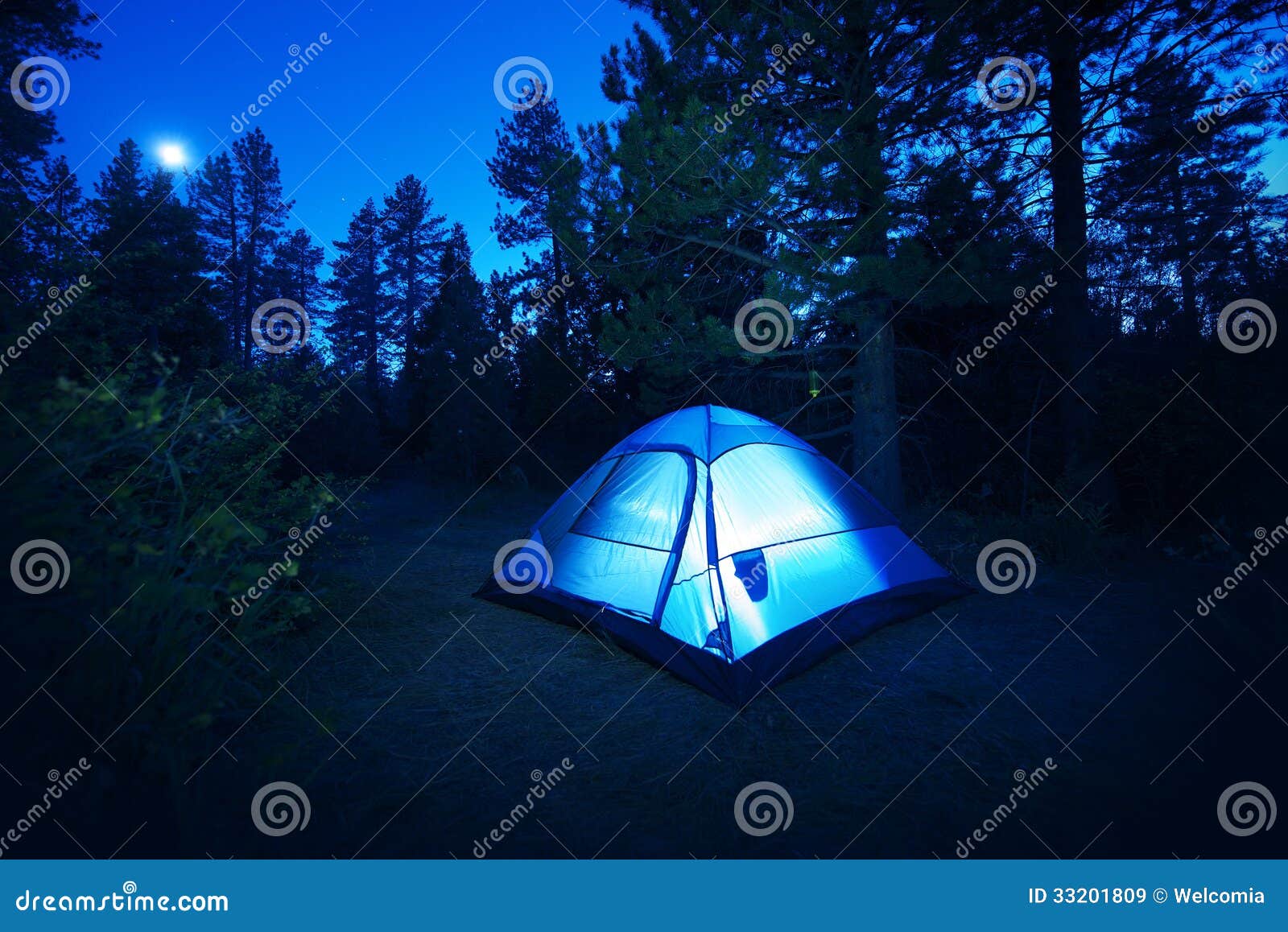 forest camping - tent