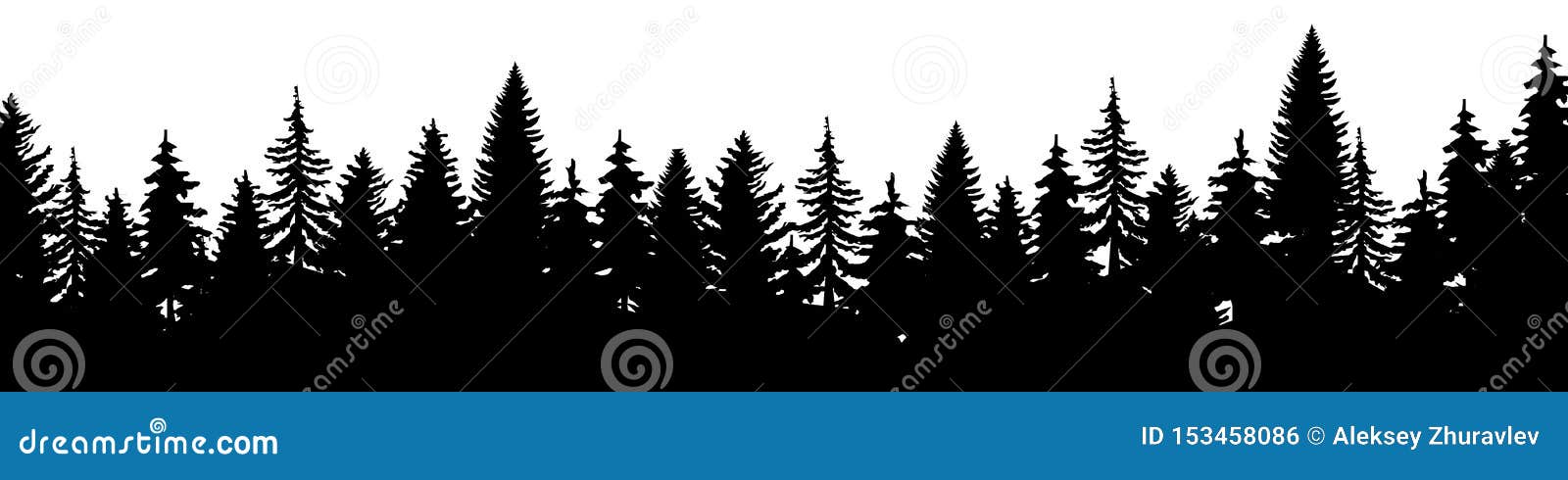 forest of christmas fir trees silhouette. coniferous spruce panorama. park of evergreen wood.  on white background