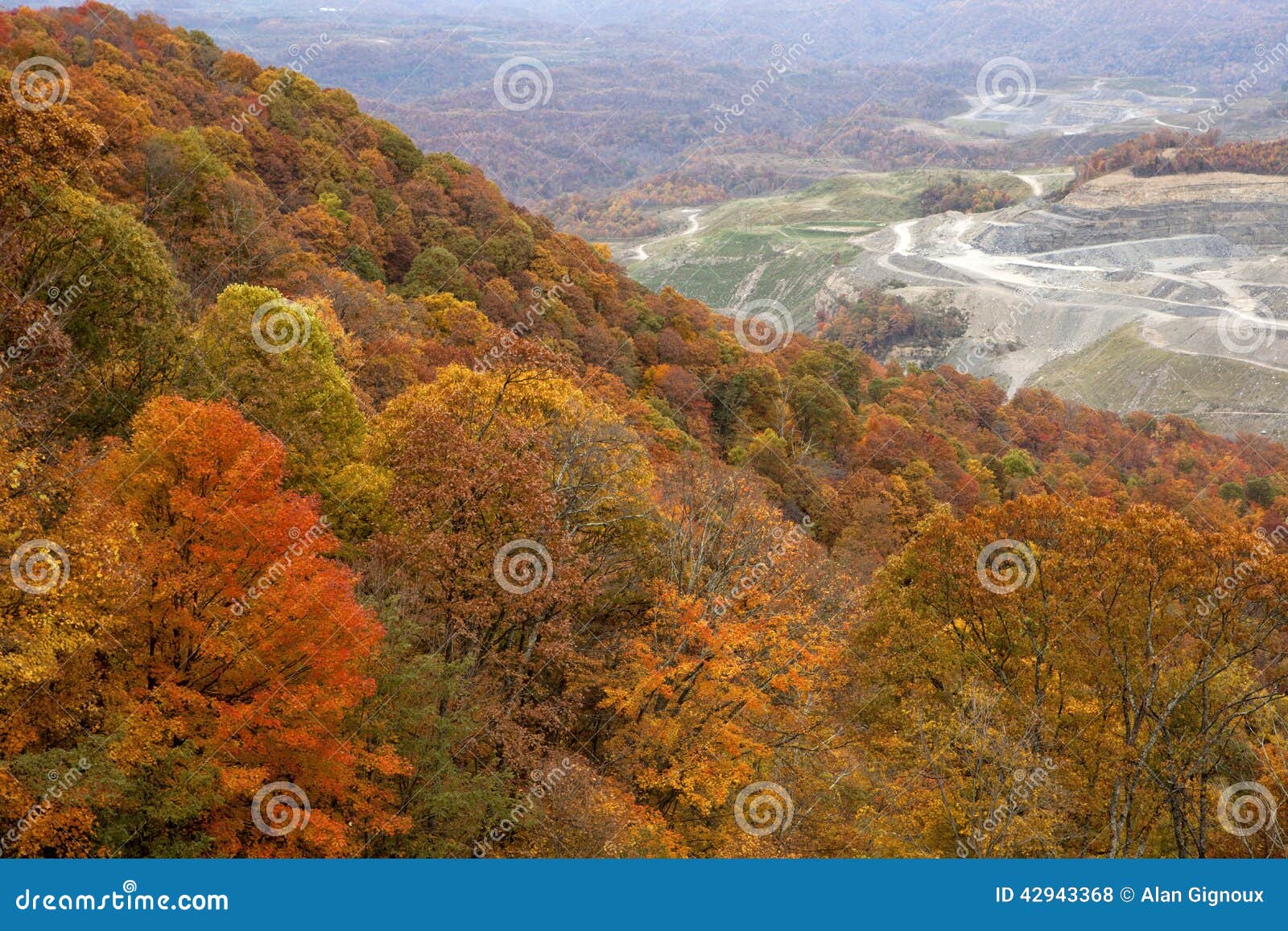 forest and coal mine appalachia