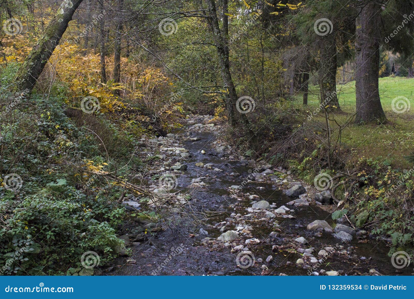 Forest Creek In Autumn Stock Photo Image Of Leaf Mountain 132359534