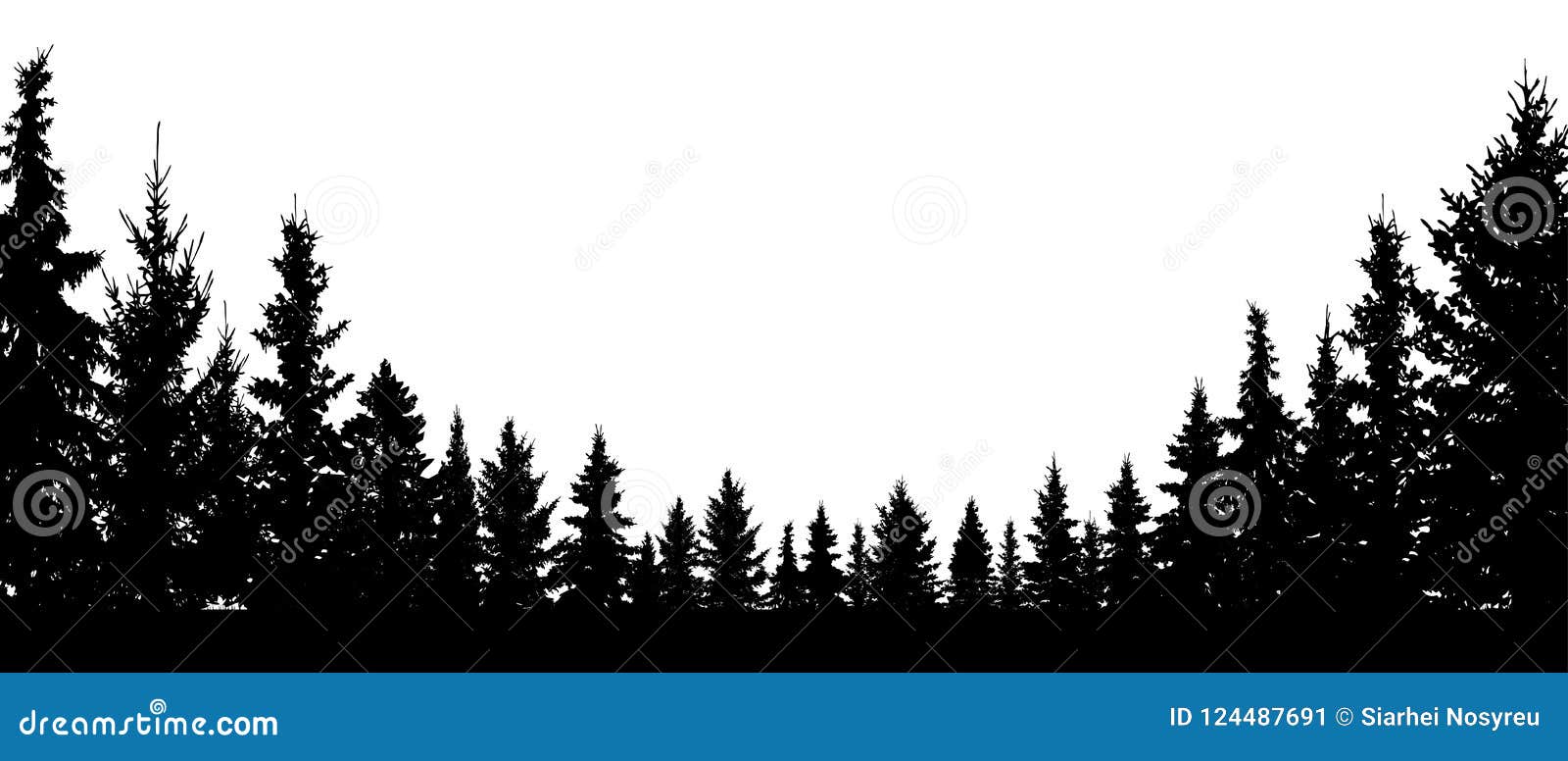 forest evergreen, coniferous trees, silhouette  background