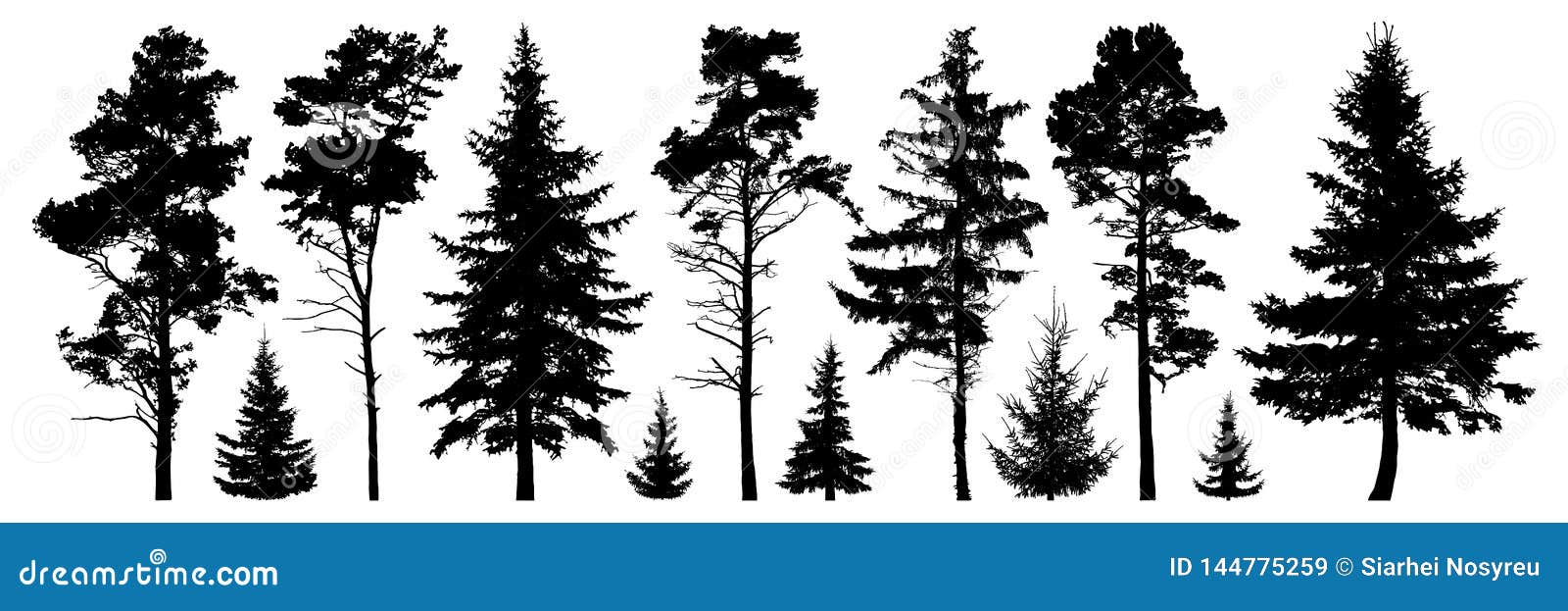 forest evergreen trees silhouette  set