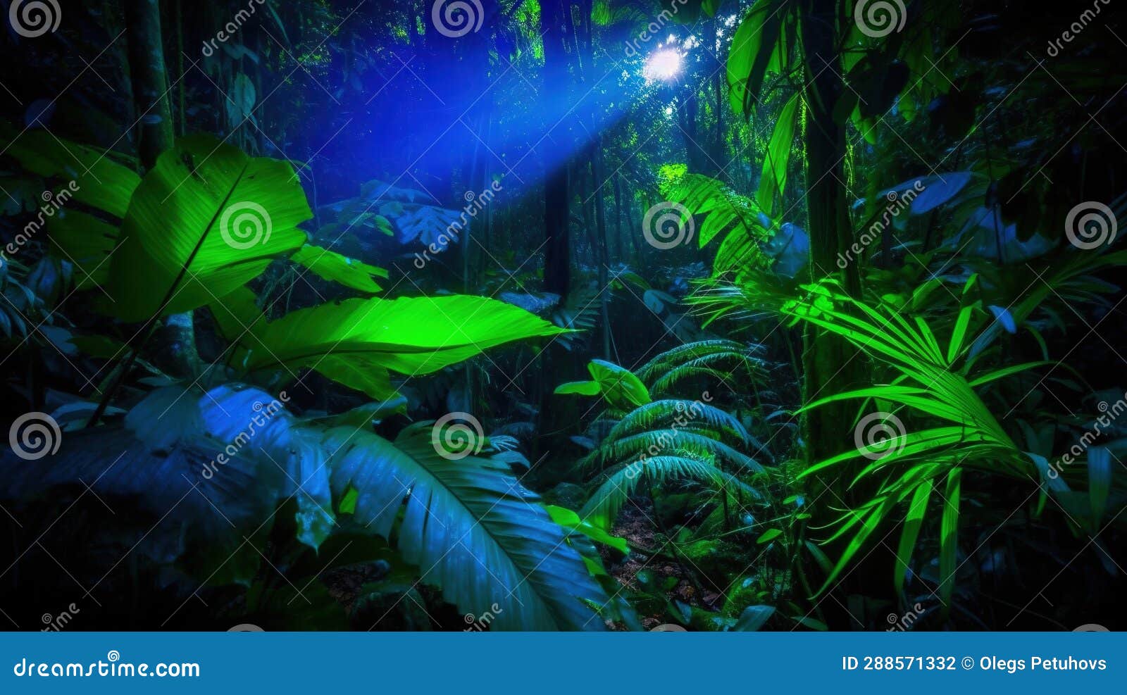 A Forest Filled with Lots of Green Plants and Plants Under a Blue Light
