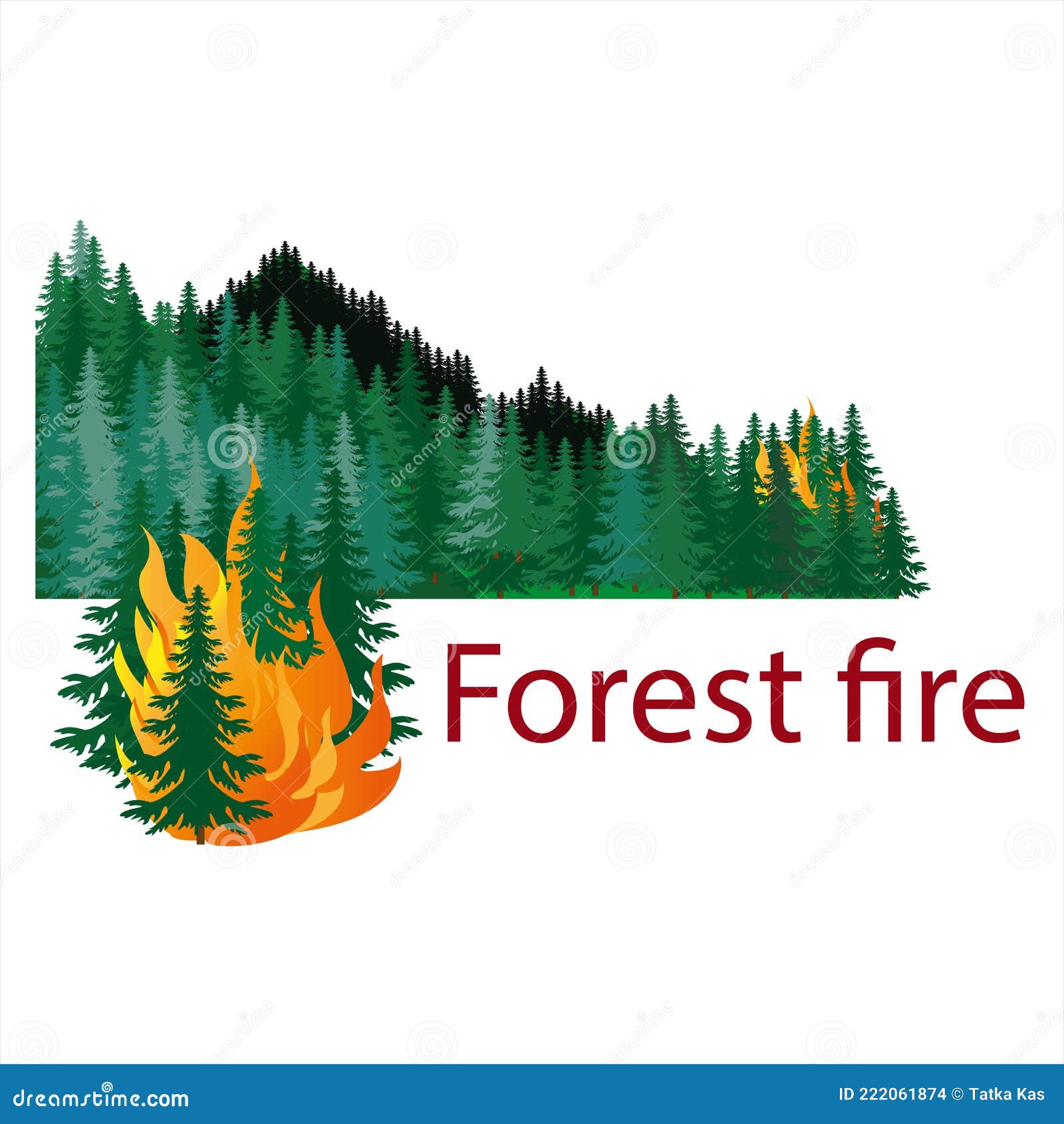 Forest Fire. Burning Forest Spruce on Fire. Disaster. Caution with Forest Fires. the Trees are