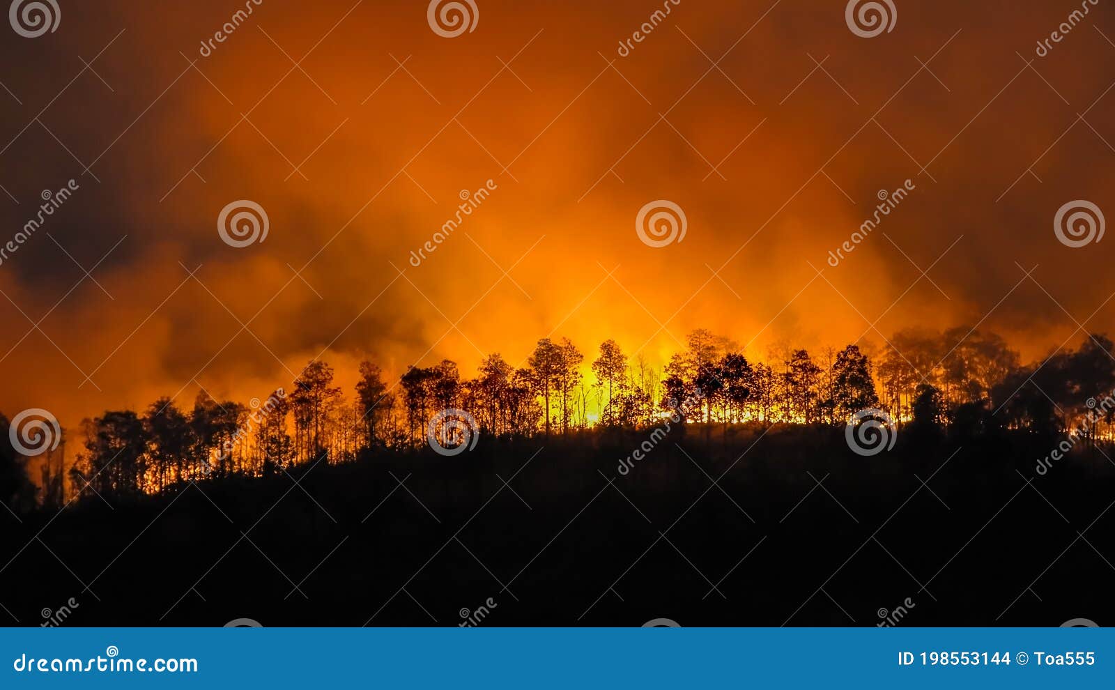 Forest Fire Disaster is Burning in the Forest Caused by Humans Stock