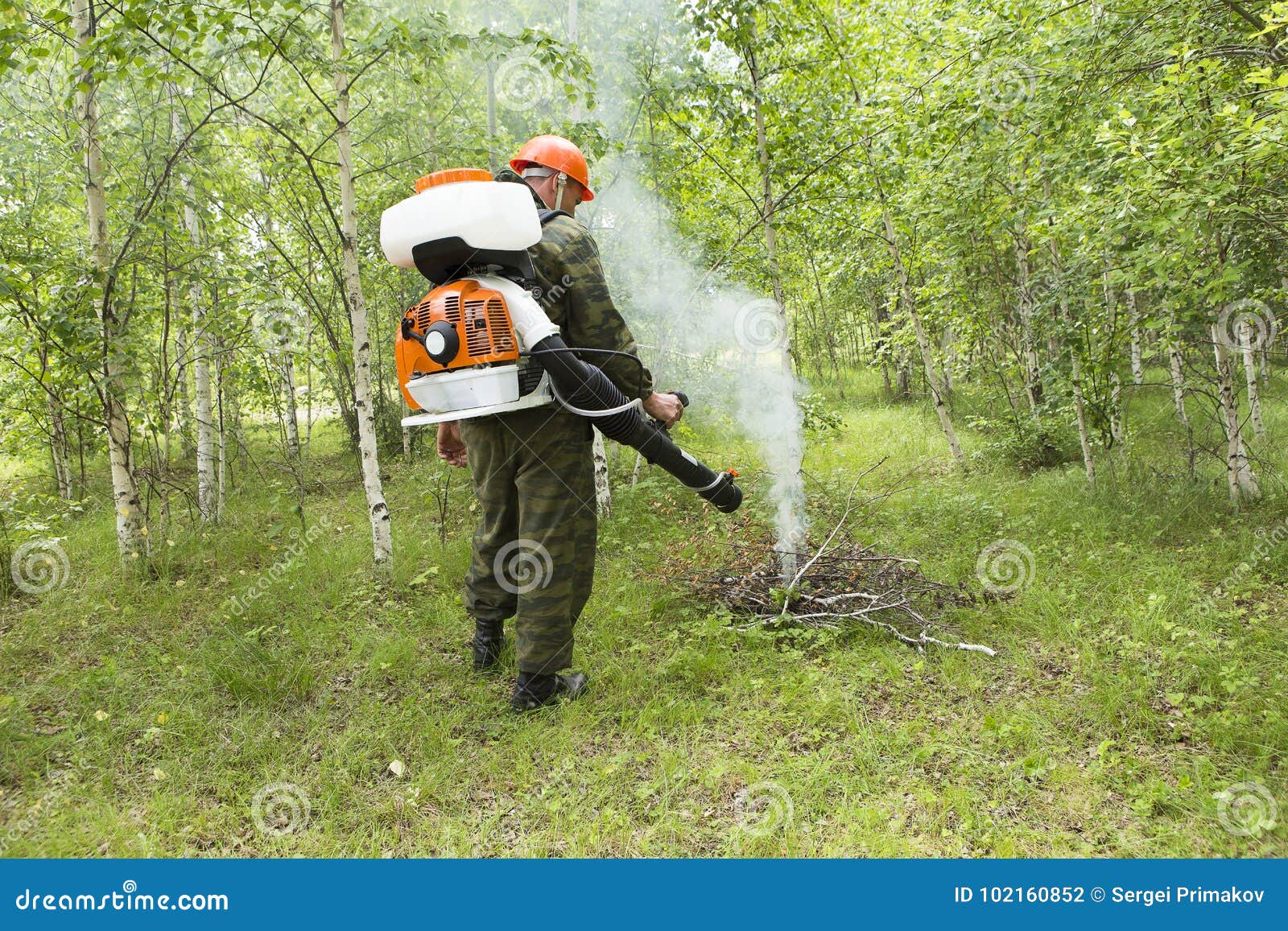 Fire Fighting in the Forest Stock Photo Image of heat, hose 102160852