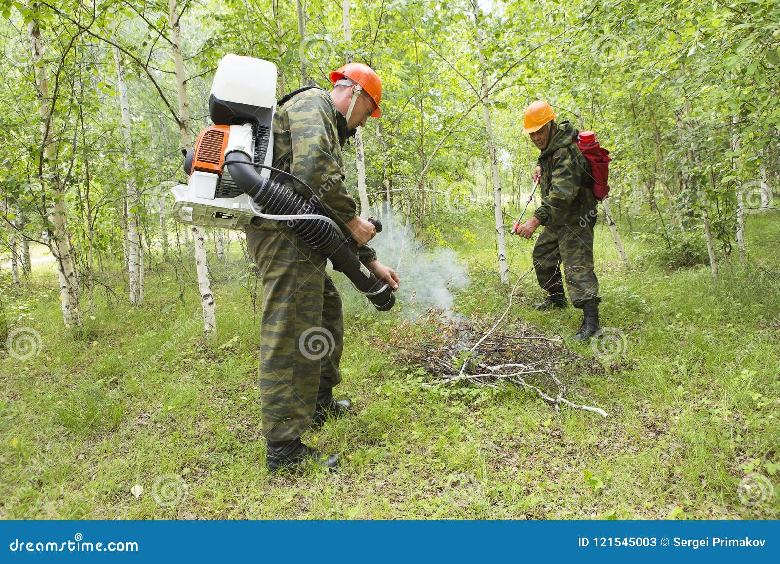 Fire Fighting in the Forest Stock Image Image of danger, flame 121545003