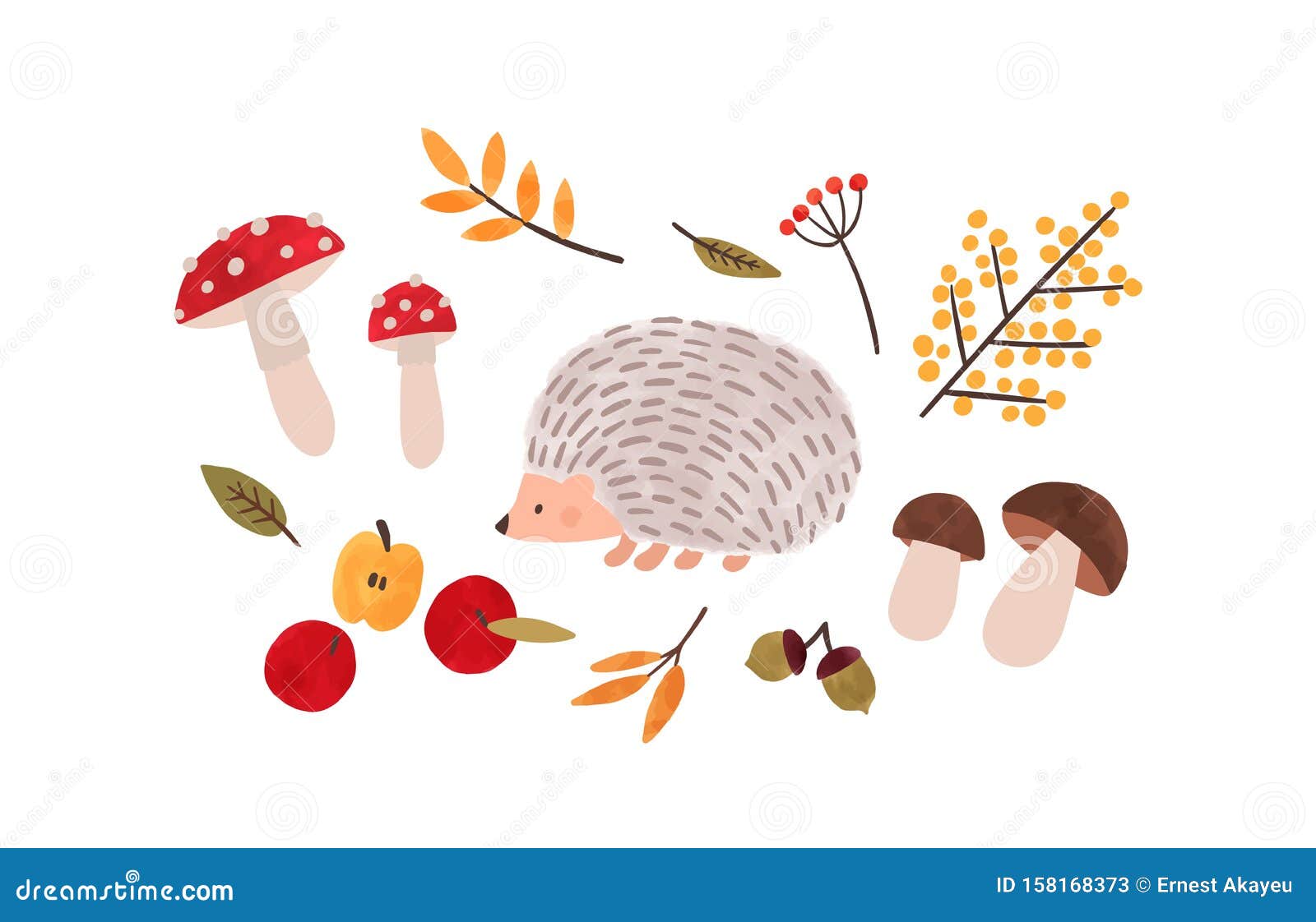 Forest Flora and Fauna Hand Drawn Vector Illustration. Autumn Season  Symbols Watercolor Painting Stock Vector - Illustration of composition,  berries: 158168373