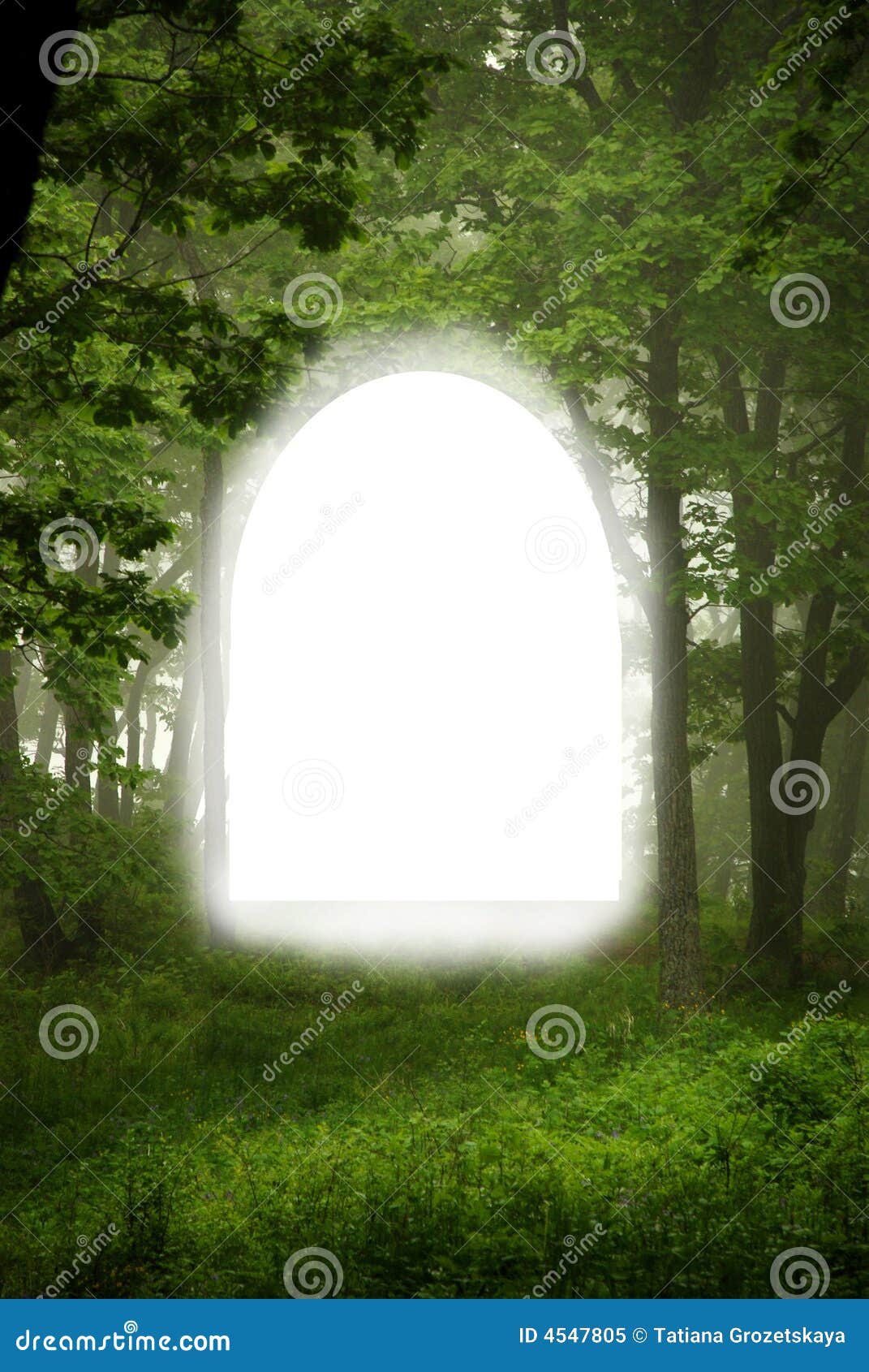 vector frame picture free of stock frame Image fall, image. Forest foliage beams, vector frame picture free of stock frame Image fall, image. Forest foliage beams,