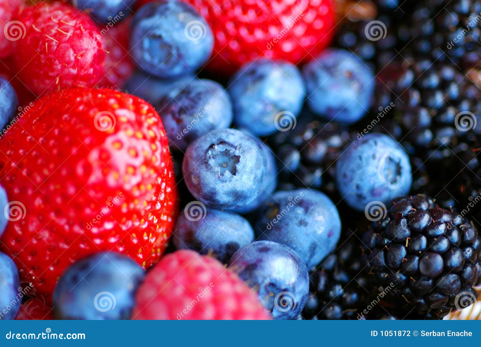 forest fruits - berries