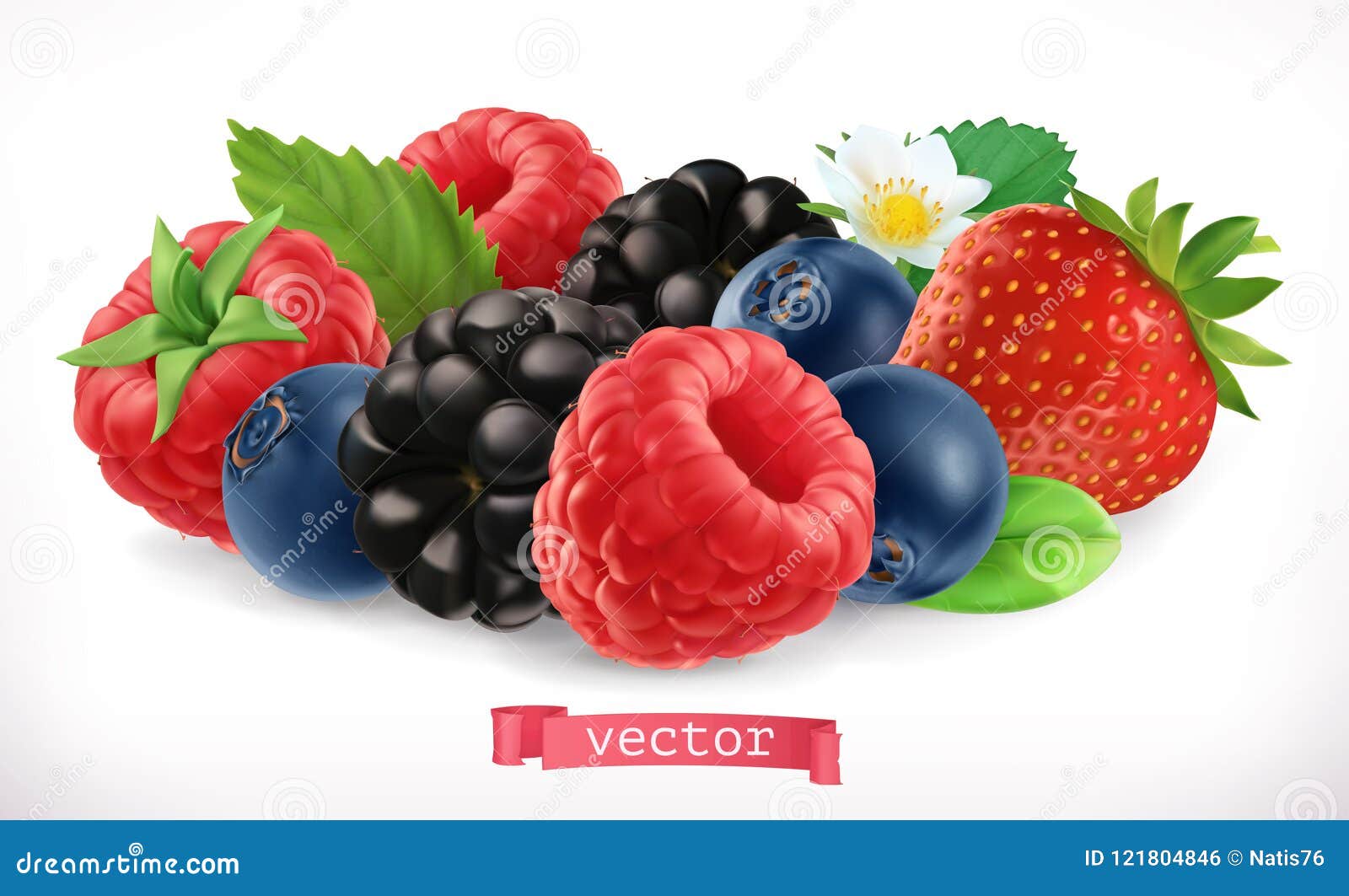 forest fruits and berries. raspberry, strawberry, blackberry and blueberry. 3d  icon