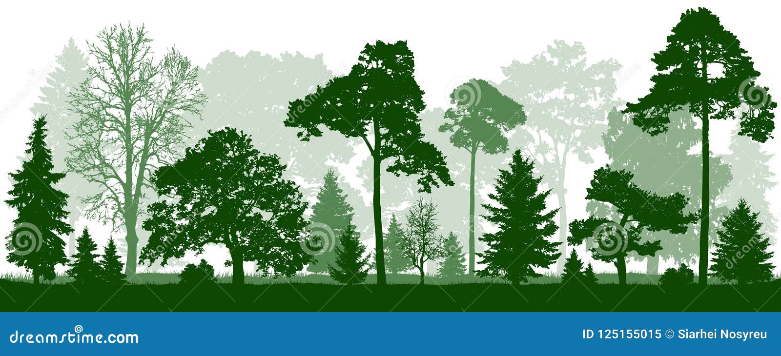 forest green trees silhouette. nature, park, landscape.