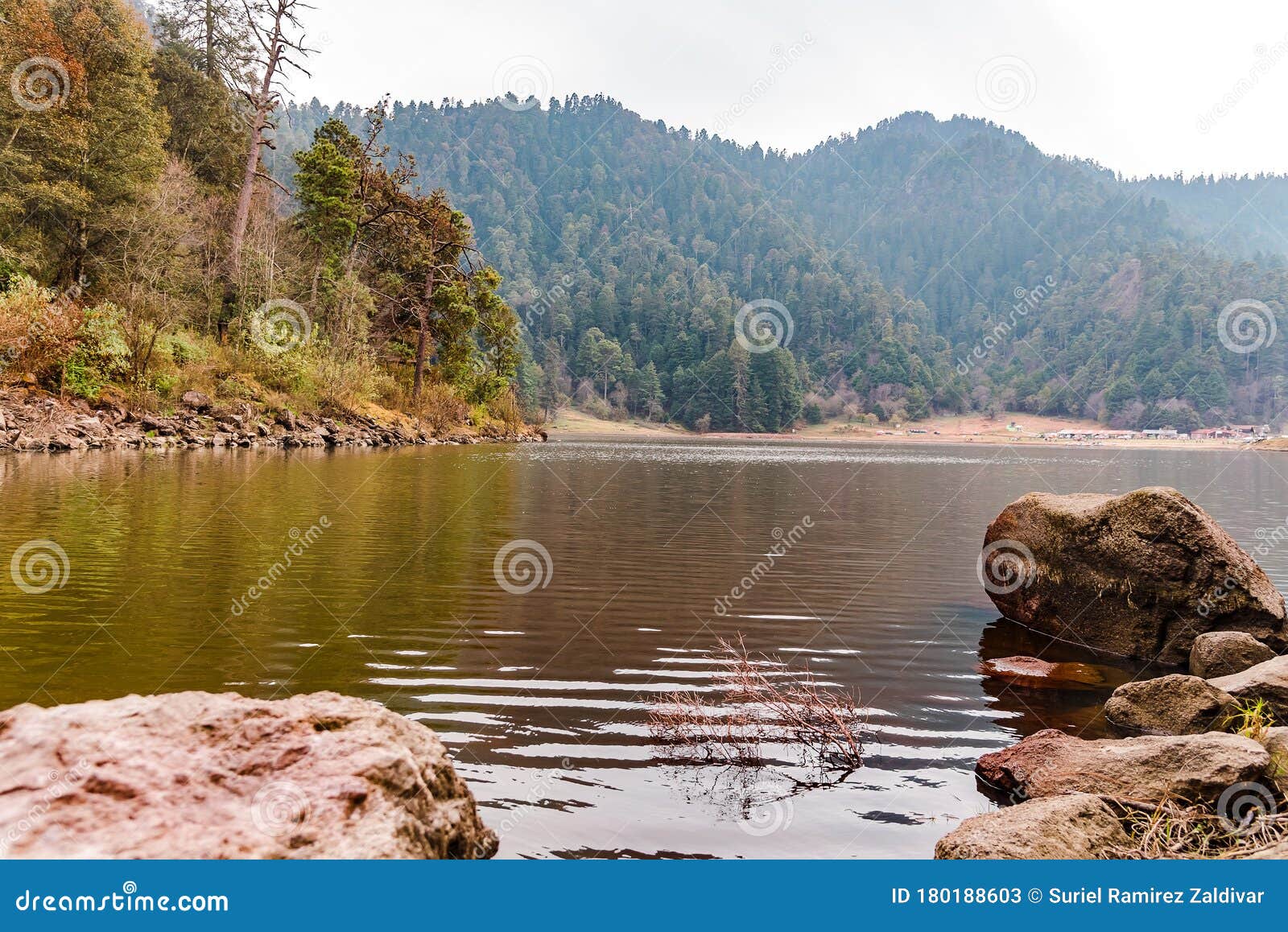 lake in the forest panoramic view