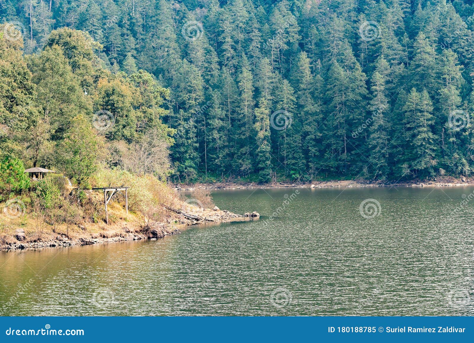 lake in the forest panoramic view