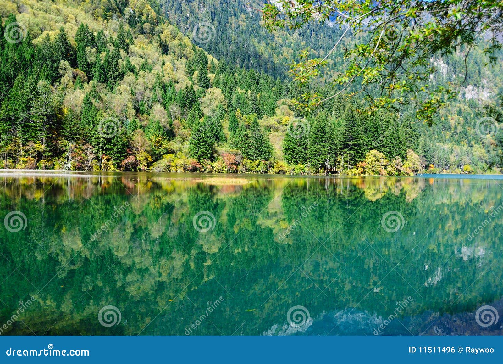 Forest And Lake Landscape Of China Jiuzhaigou Stock Photo Image Of