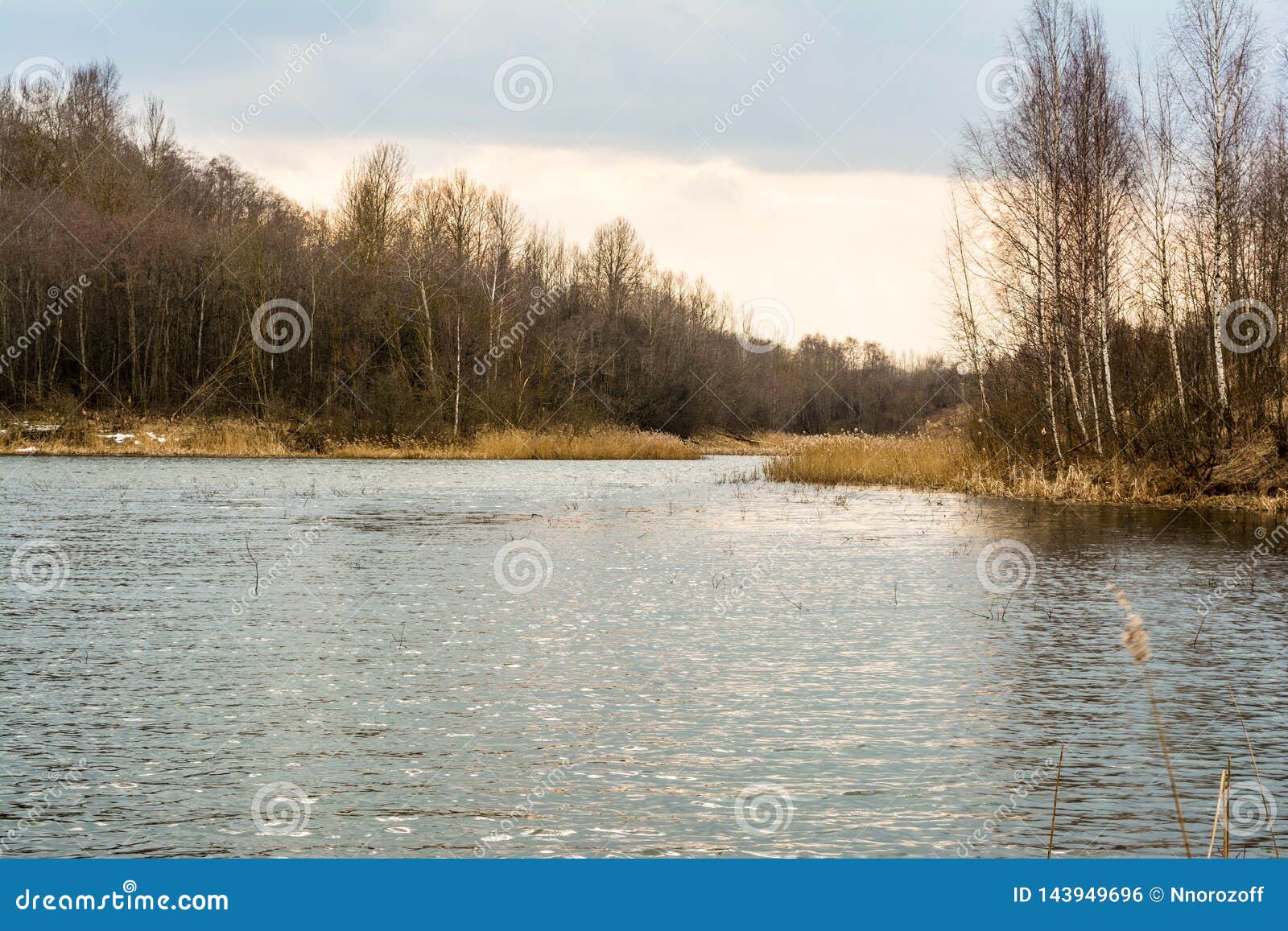 A Forest Lake and the Sky with Clouds, Cloudy Weather in Early Spring