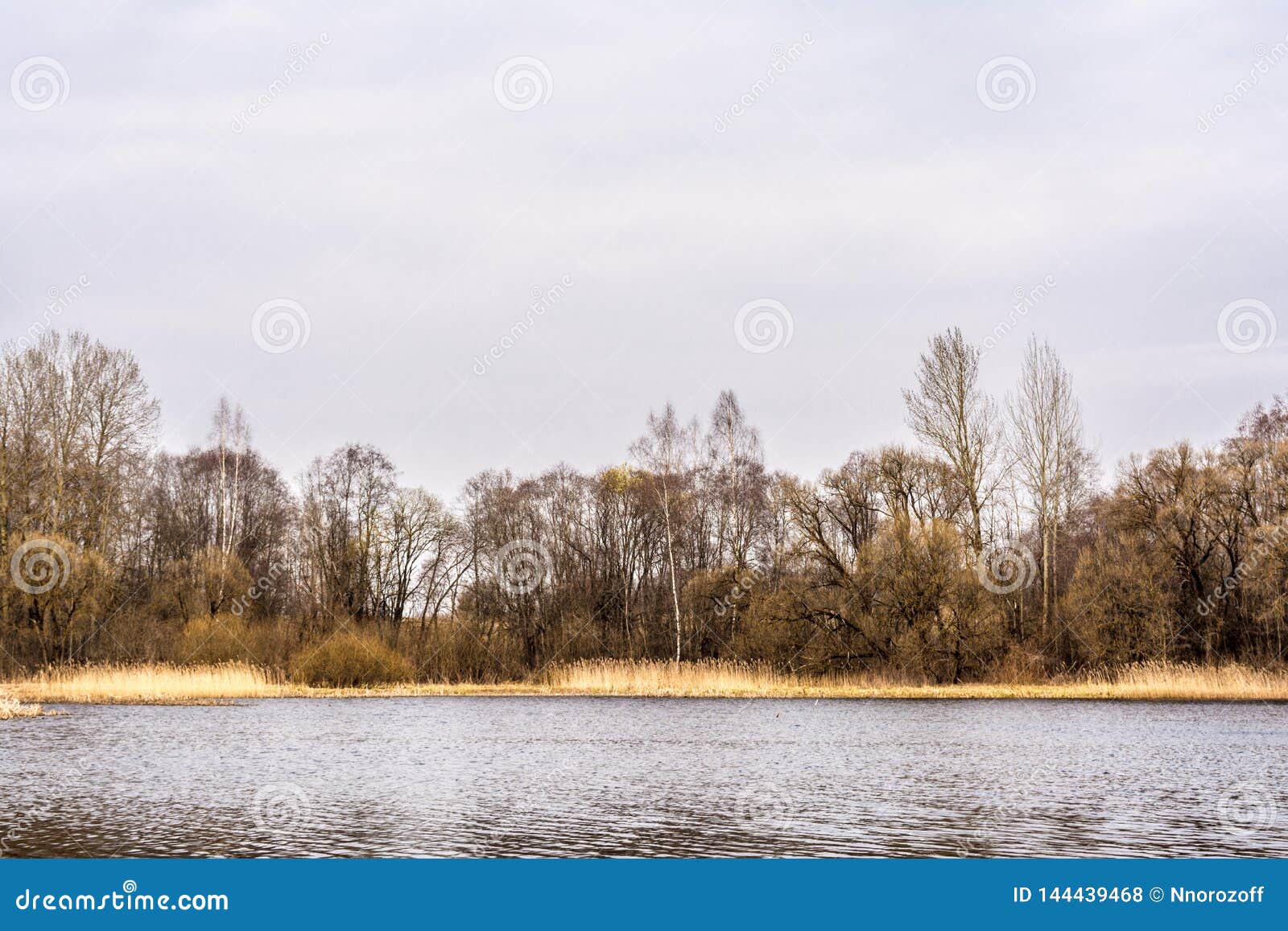 A Forest Lake and the Sky with Clouds, Cloudy Weather in Early Spring