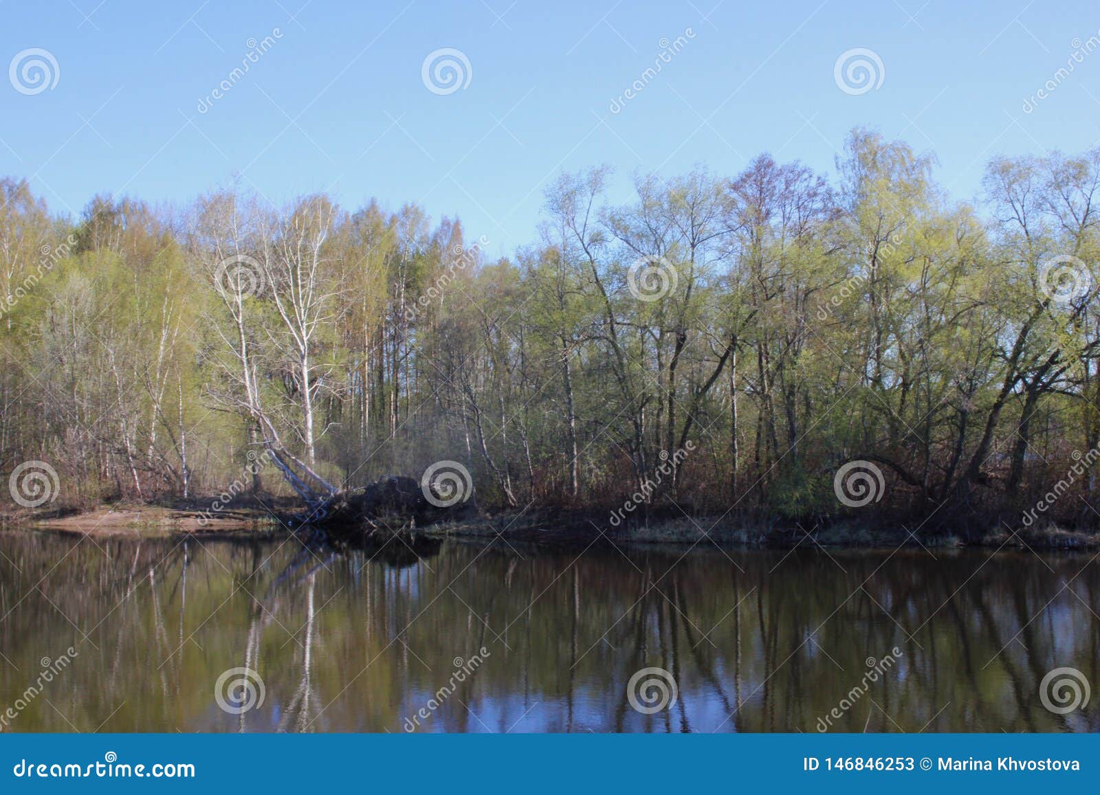 Forest Lake on a Summer Day. Calm Calm Weather Stock Image Image of