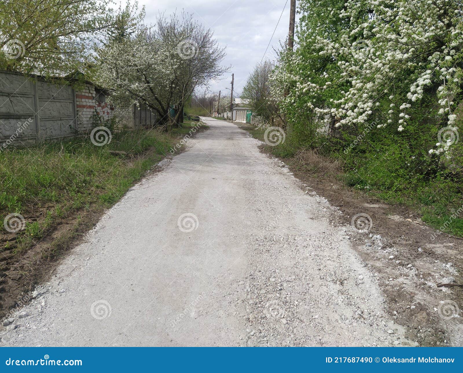 forest lane in the city of avdeevka