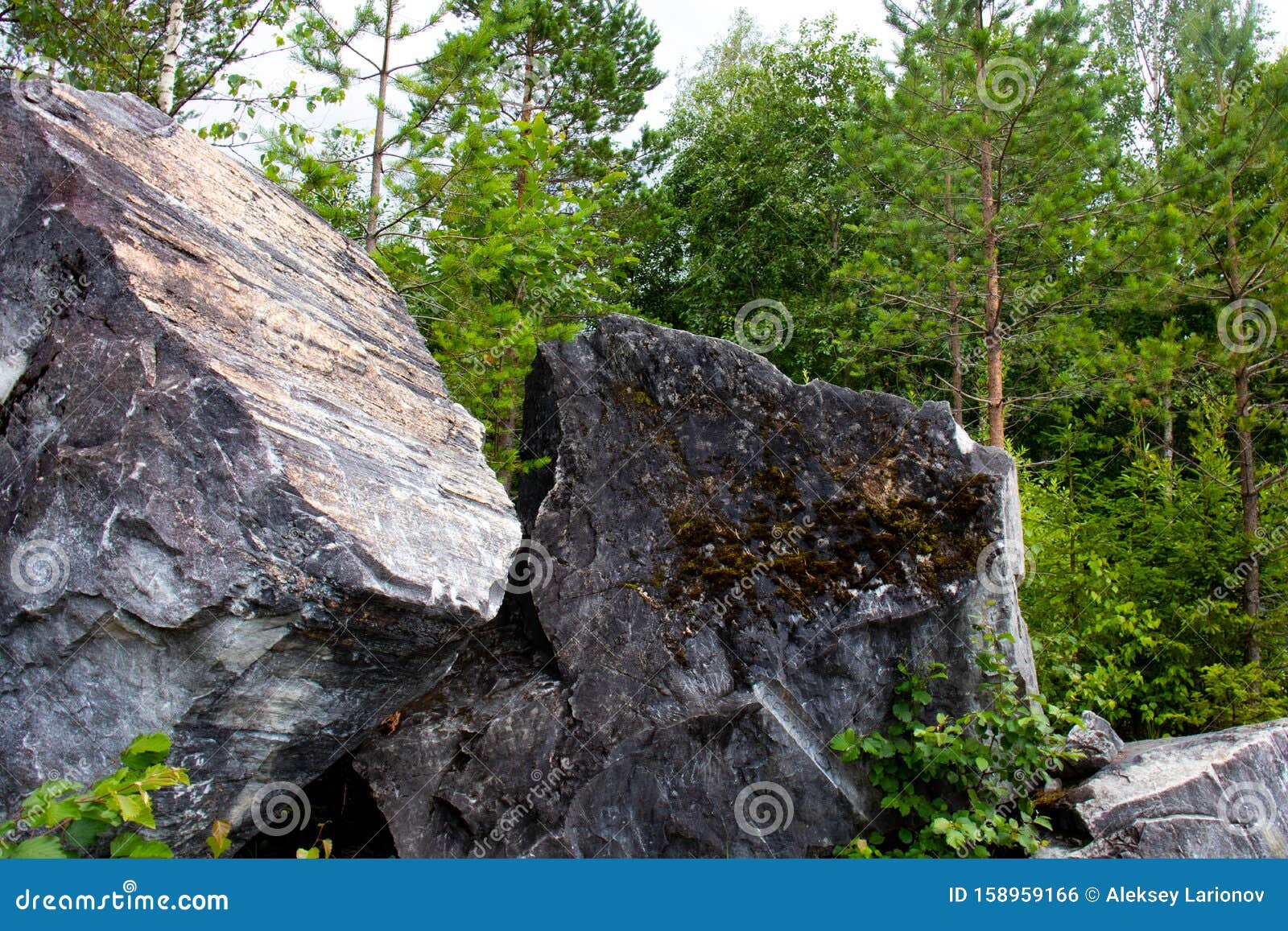 Forest on the marble rocks stock photo. Image of peak 158959166