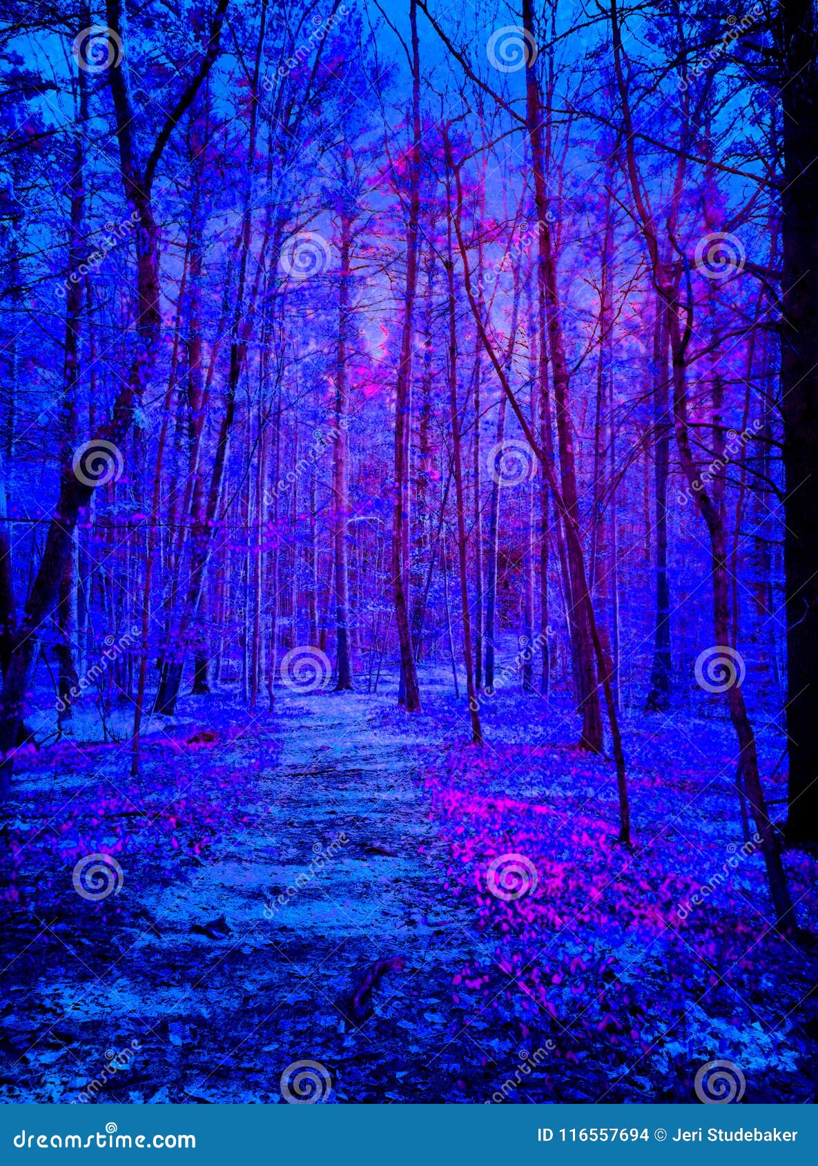 Aliens Coming in Dark Blue and Purple Forest Stock Photo - Image of ...