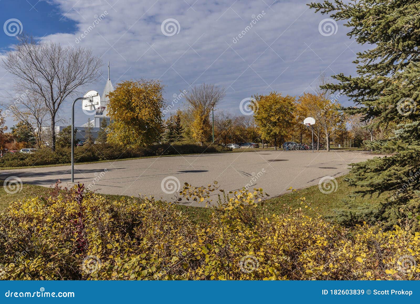 Forest Park stock image. Image of orange, park, basketball ...