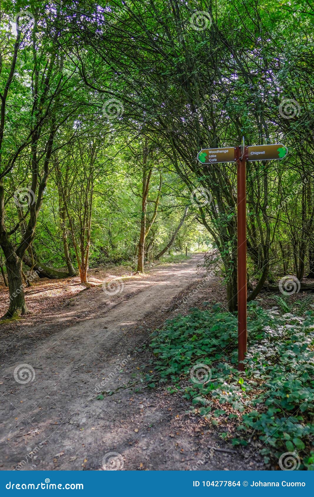 signpost forrest signpost forrest