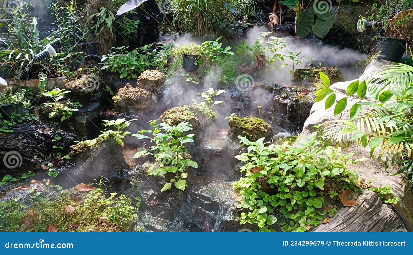 Forest Plants Around the Waterfall in the Garden. Stock Image Image