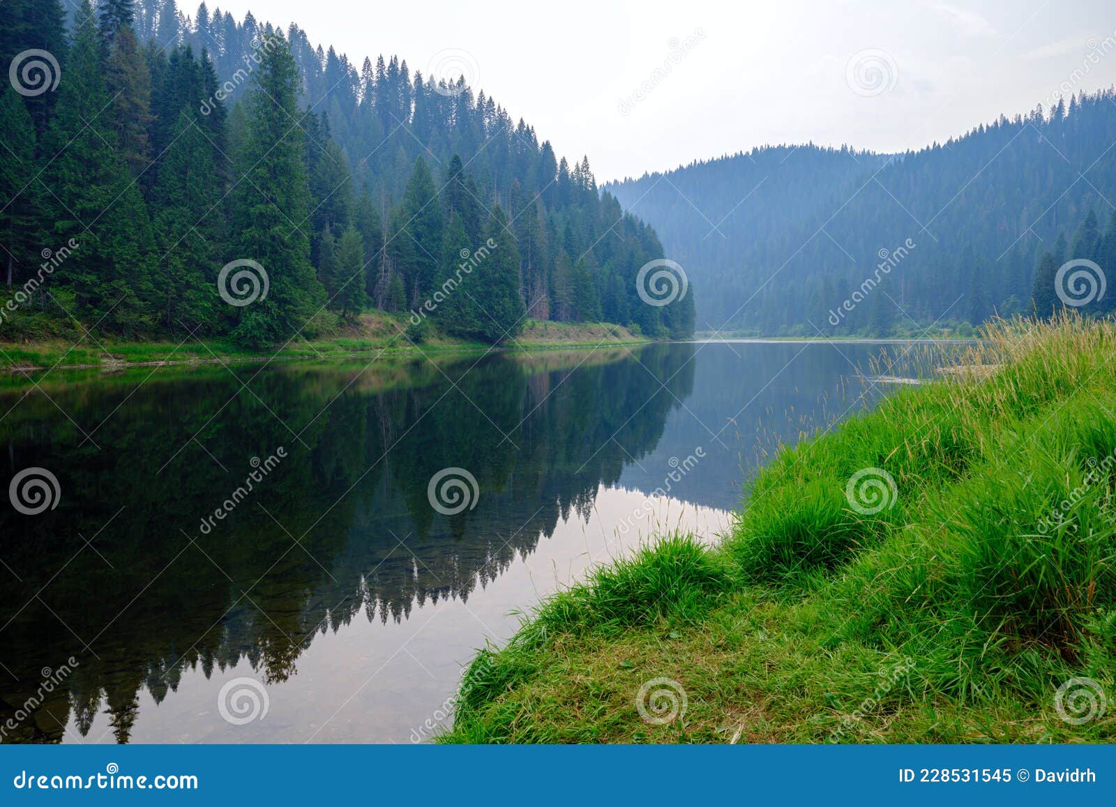the forest reflected in the lochsa river near syringa, idaho, usa