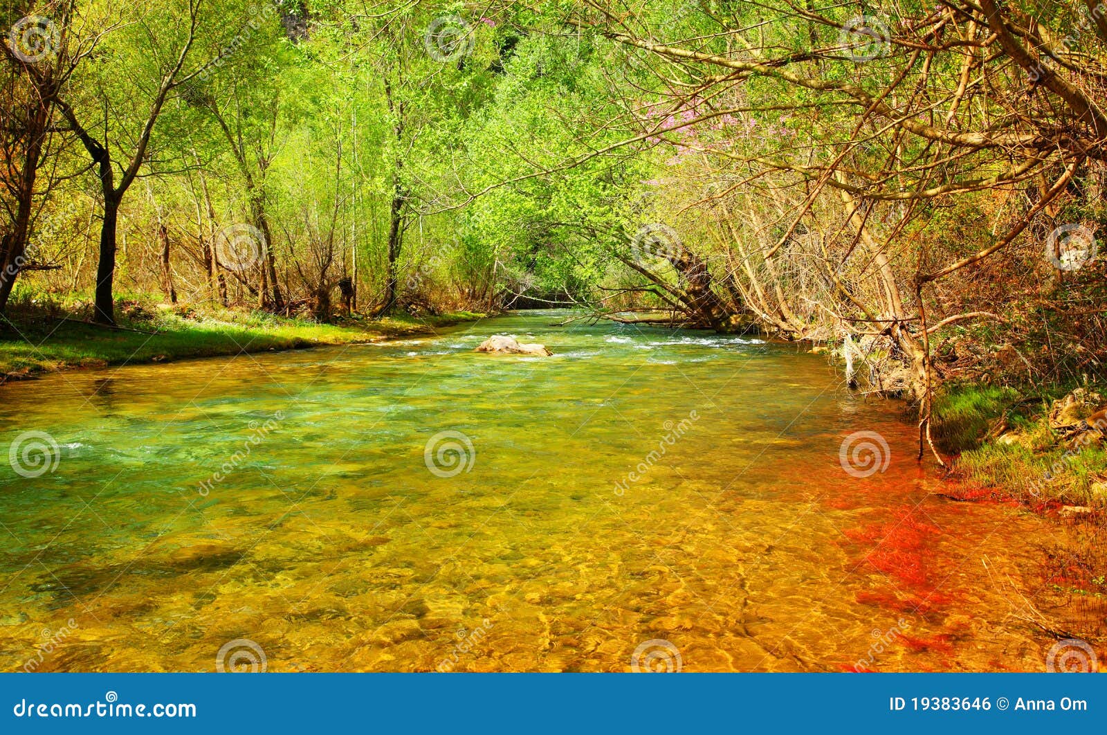 Forest River Stock Photo Image Of Beauty East Middle 19383646