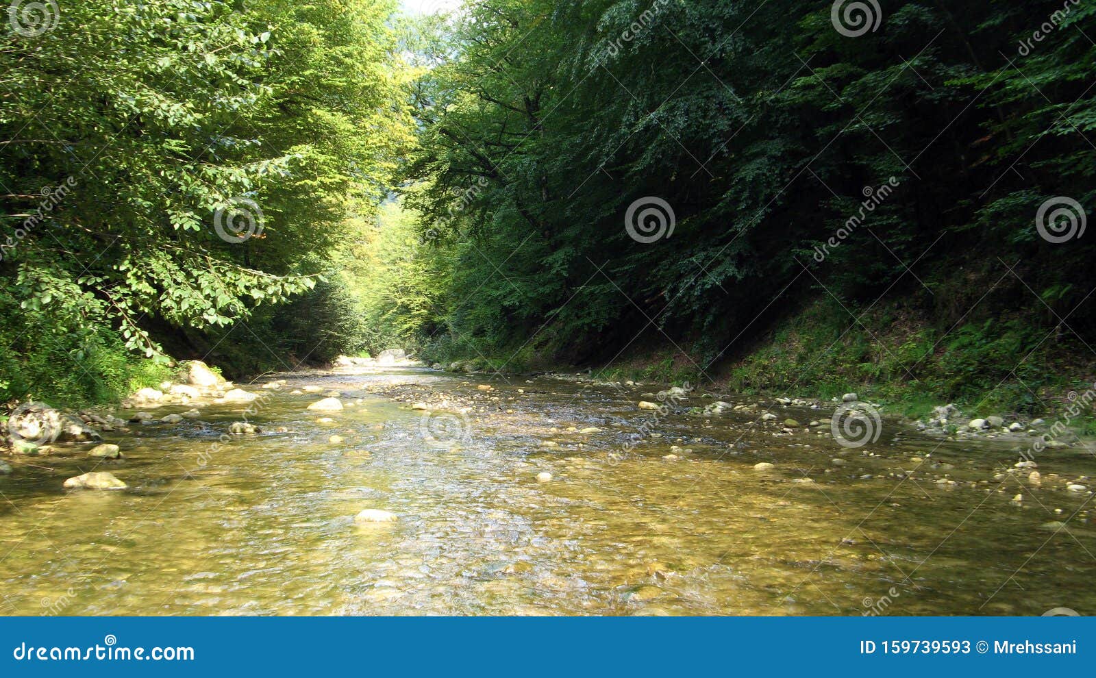 Forest River in Hyrcanian Forests of Iran Stock Image - Image of iran