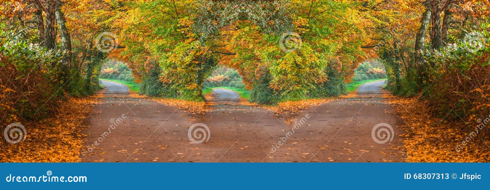 forest road with three different ways