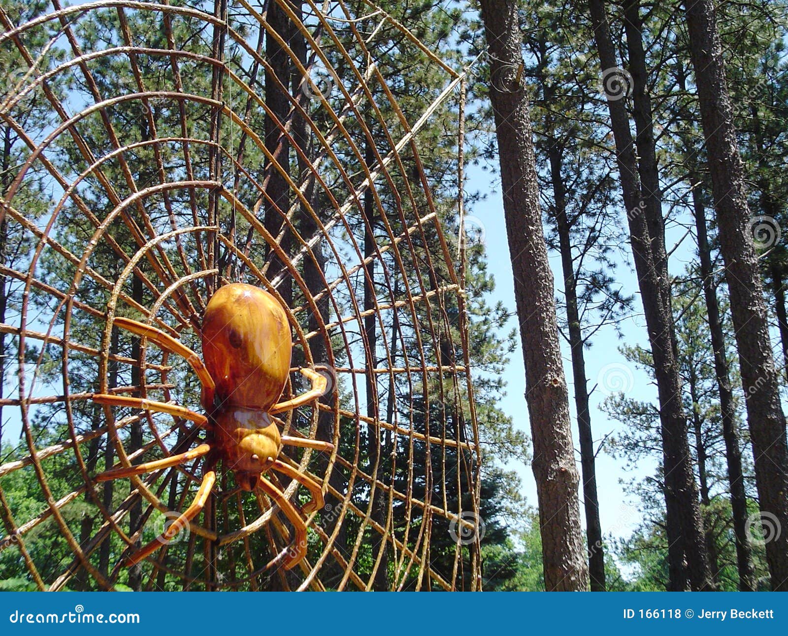 Forest Spider Royalty Free Stock Photos - Image: 166118