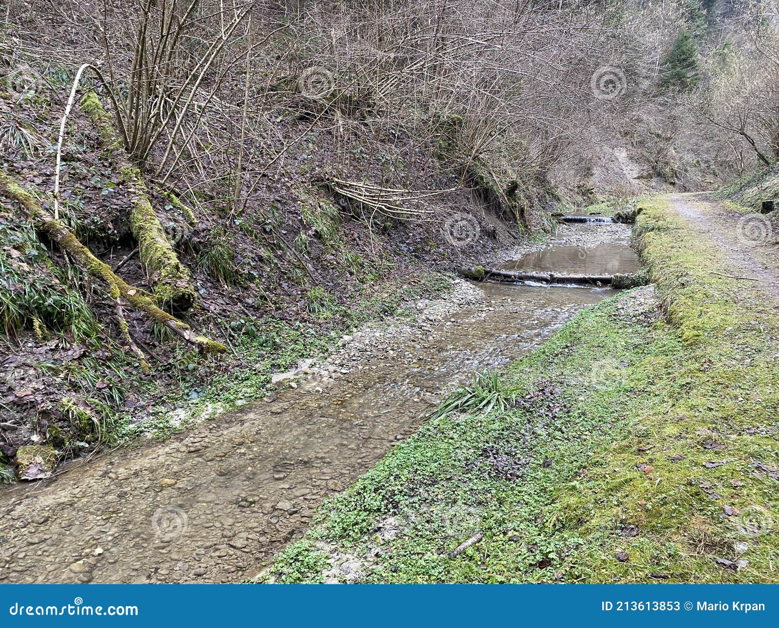 a forest stream that flows through the stampfigraben ravine near the village of wolhusen - switzerland schweiz