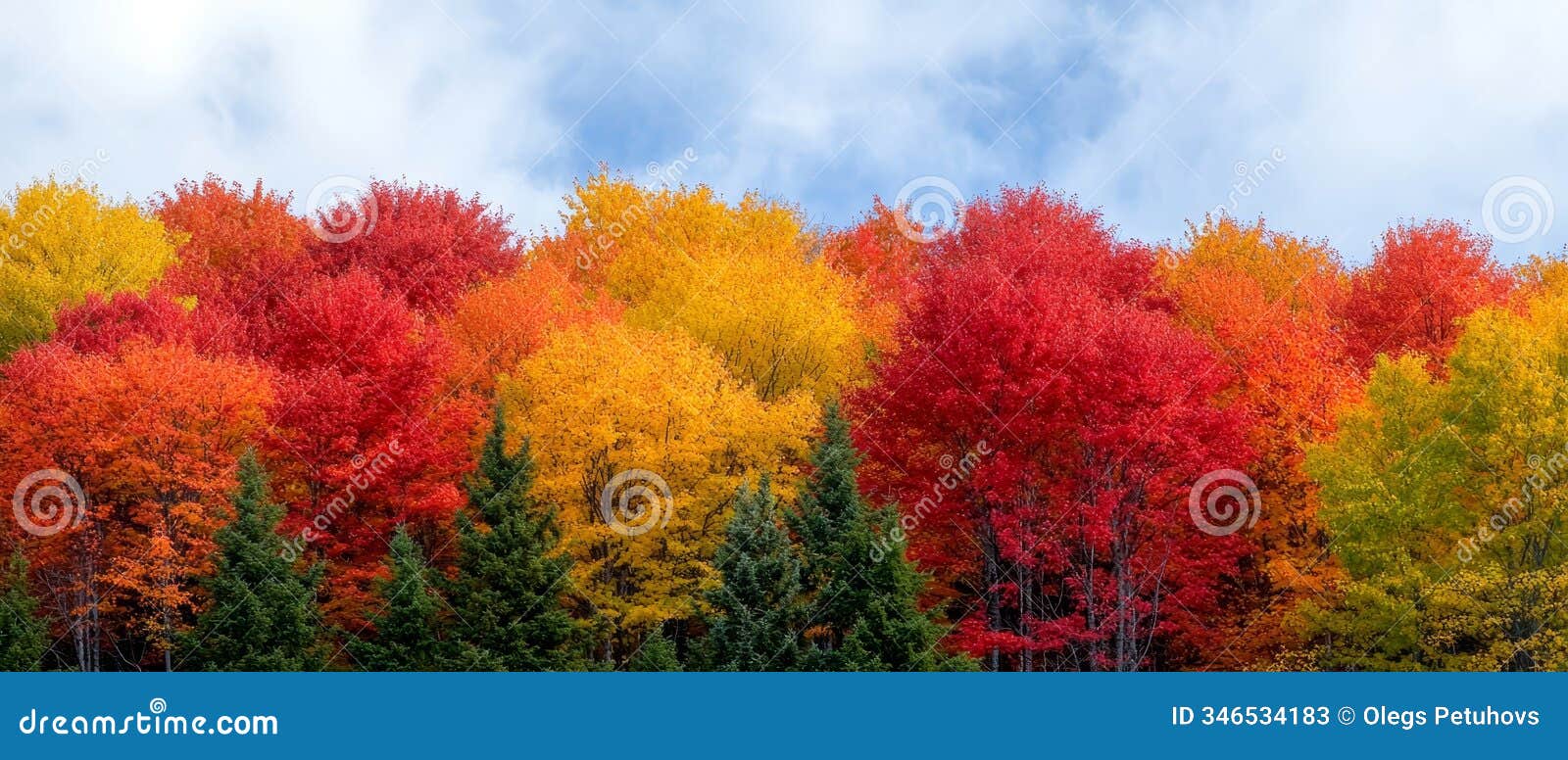 a forest teeming with numerous trees donned in various autumn hues populates the backdrop above, a blue sky is dotted with wispy