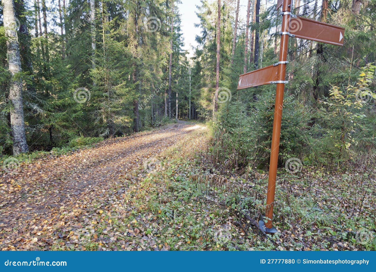 Forest Trail with Direction Sign Stock Photo Image of decisions