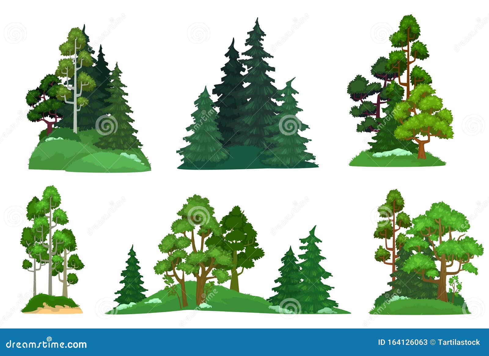 forest trees. green fir tree, forests pine composition and  trees cartoon   set