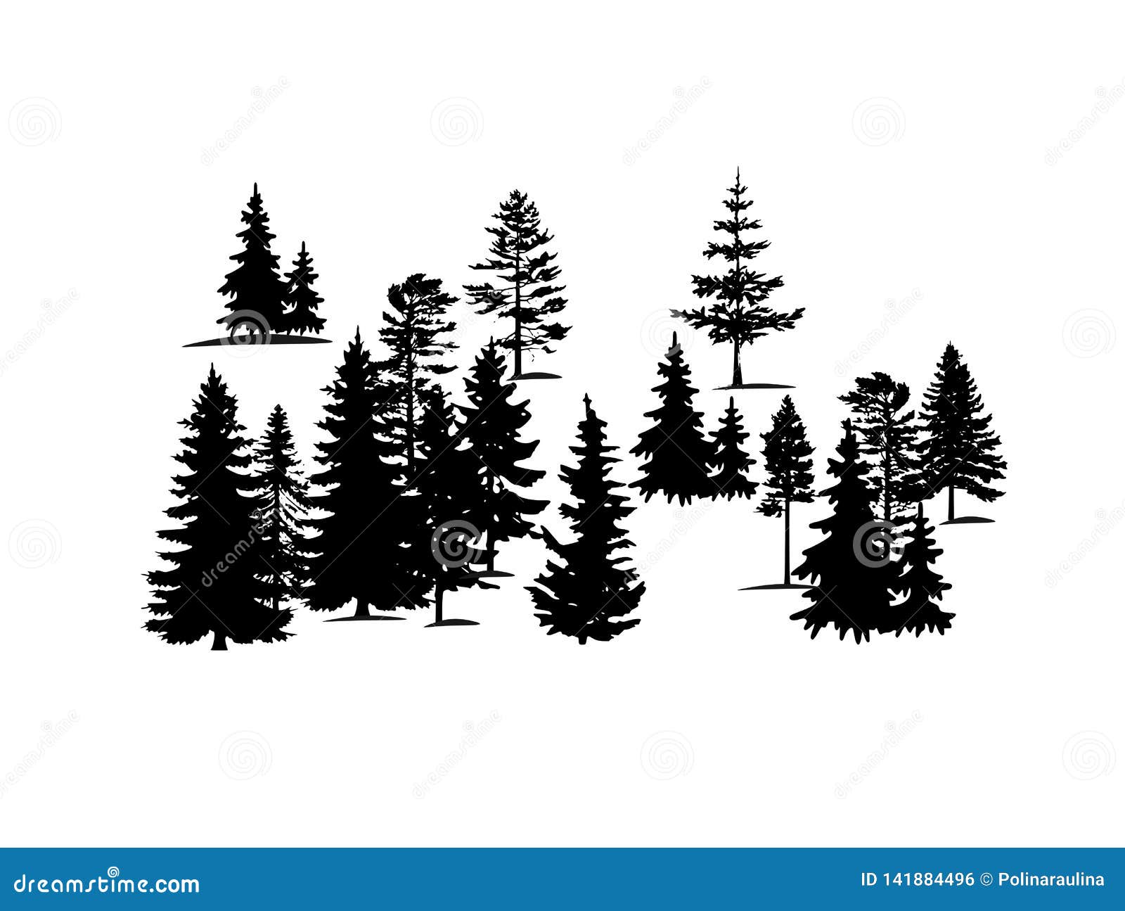 forest trees  silhouette .set of  silhouettes of forest coniferous trees.