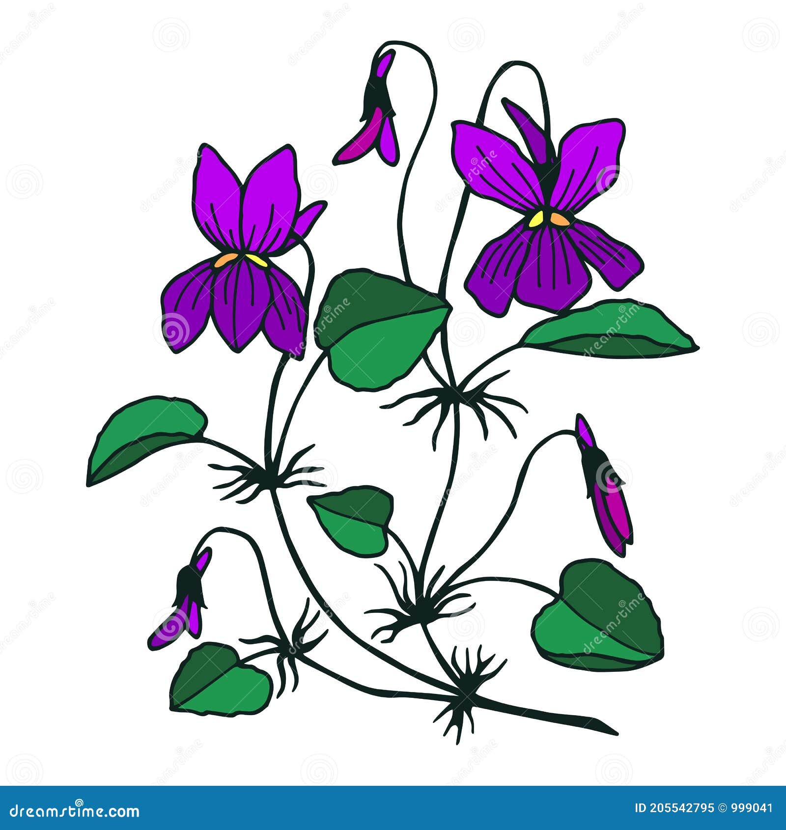 Forest Violet Plant. Vector Stock Illustration Eps10. Hand Drawing ...