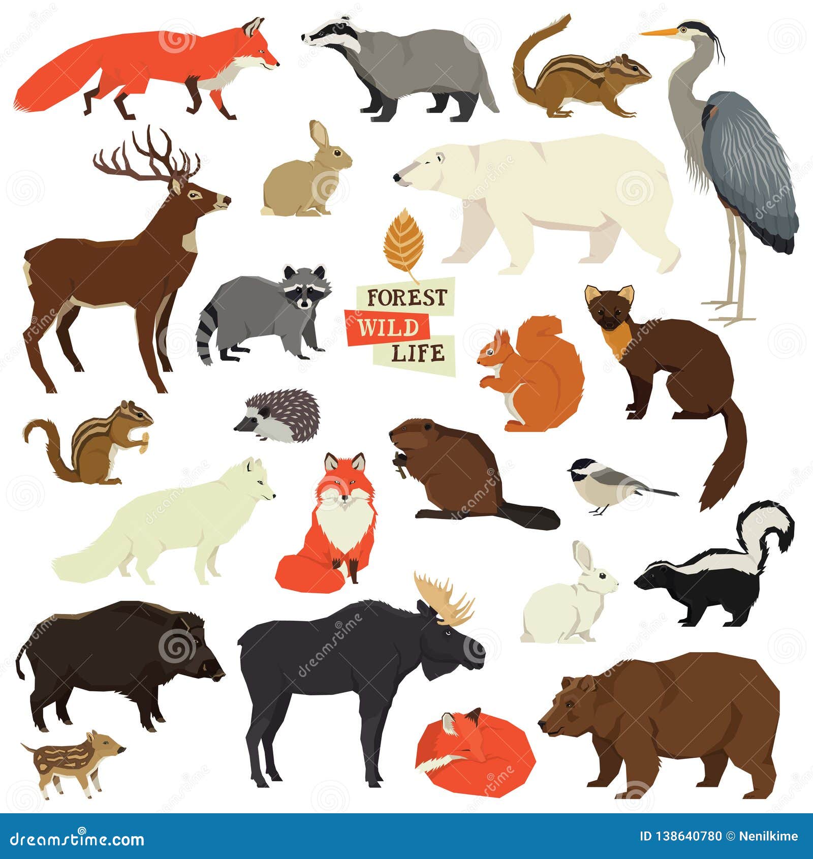 Forest Wildlife Isolated Objects Animals Stock Vector - Illustration of graphic, isolated: 138640780 Forest Wildlife Isolated Objects Animals Stock Vector - Illustration of graphic, isolated: 138640780
