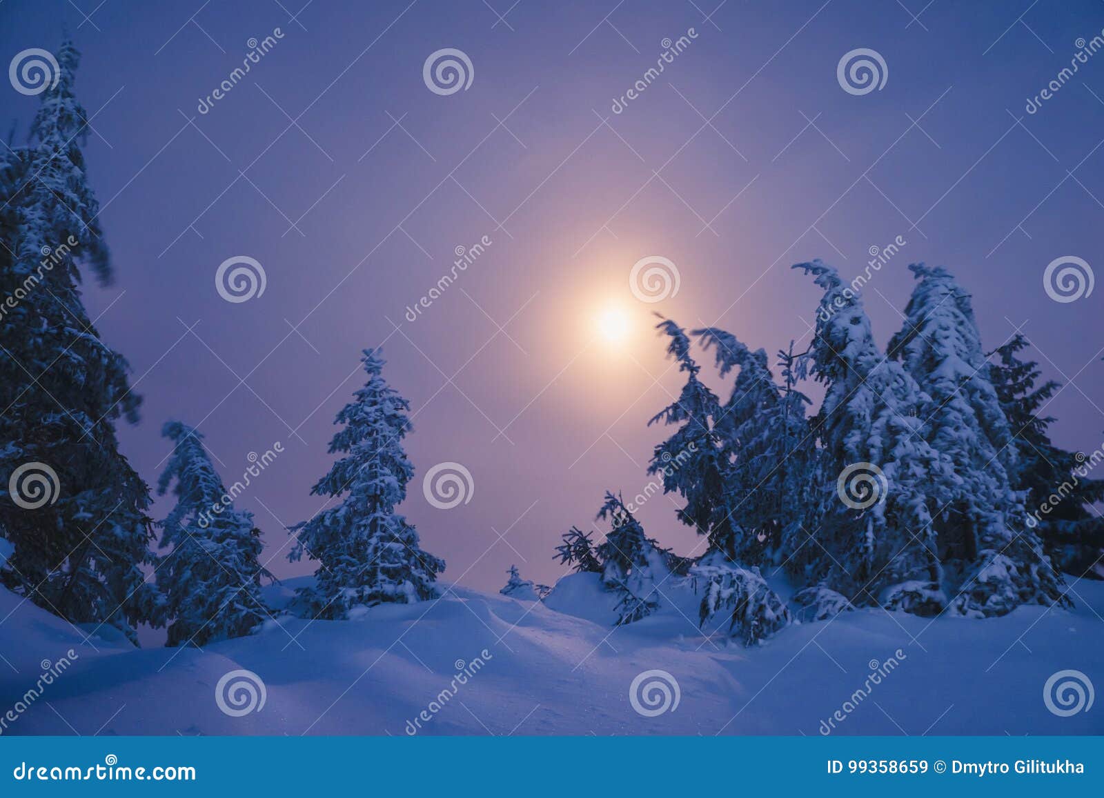 Foresta Di Inverno Coperta Da Neve Alla Notte Di Luce Della Luna Immagine Stock Immagine Di Collina Full