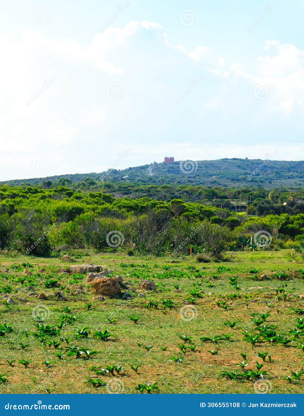 foresta 2000 nature reserve on marfa peninsula malta