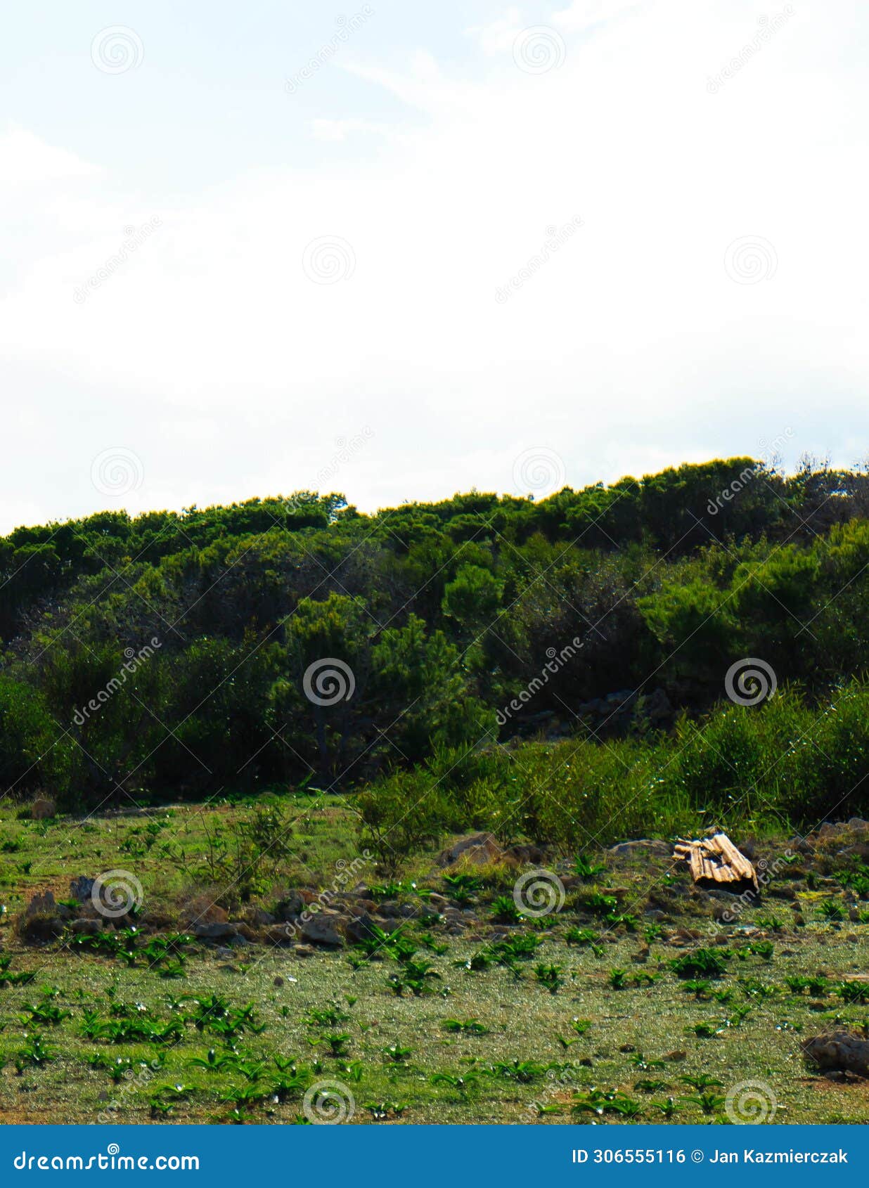 foresta 2000 nature reserve on marfa peninsula malta