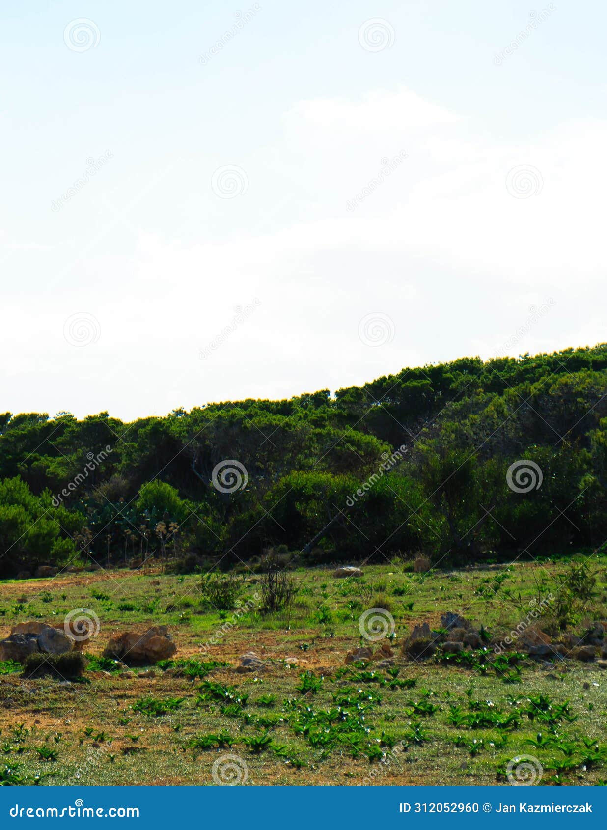 foresta 2000 nature reserve on marfa peninsula malta