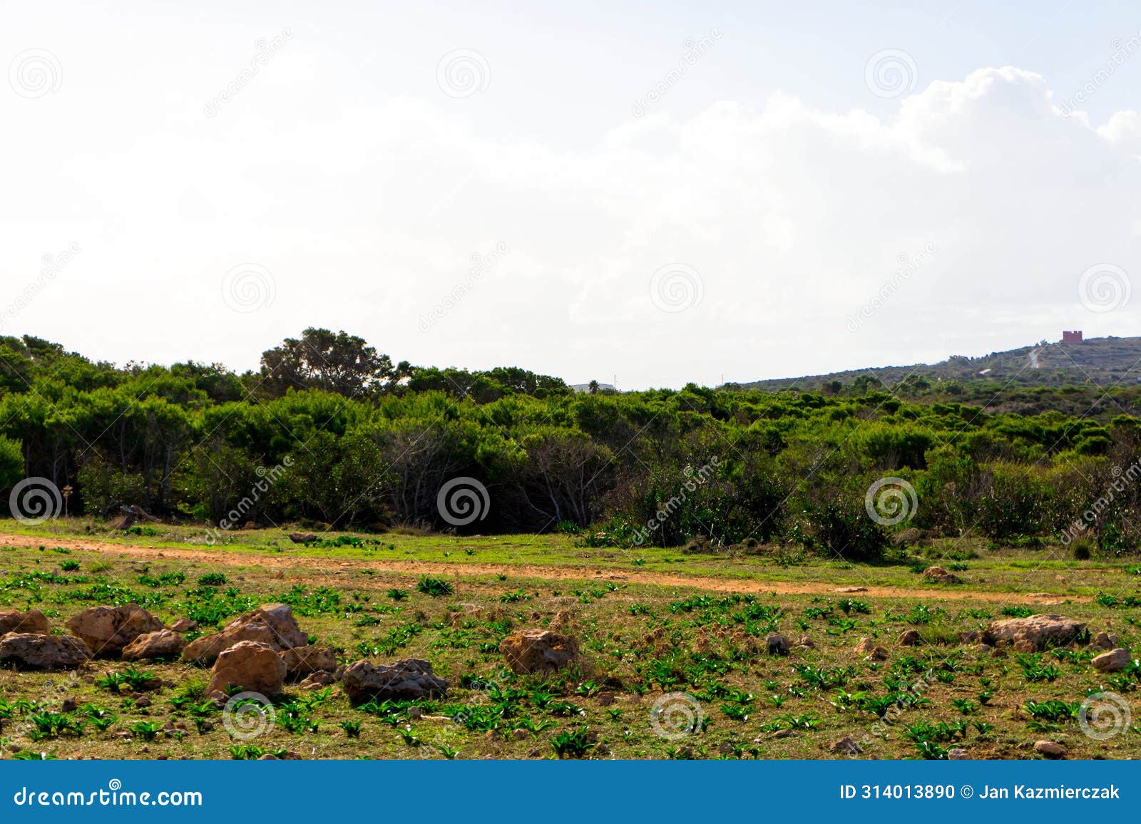 foresta 2000 nature reserve on marfa peninsula malta