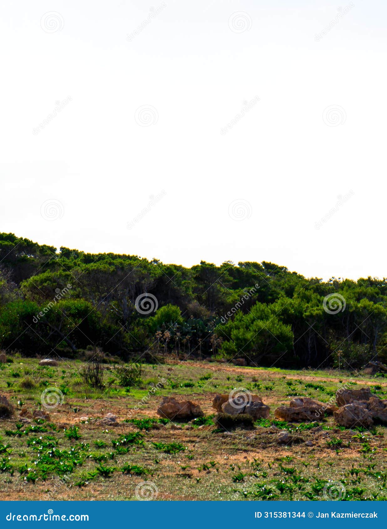 foresta 2000 nature reserve on marfa peninsula malta