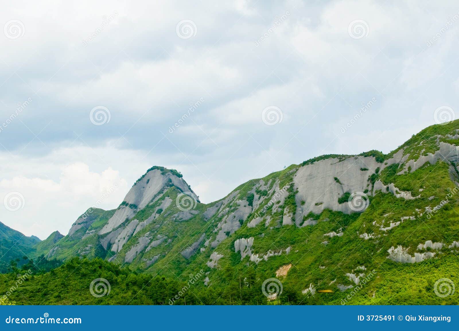 forested mountain range